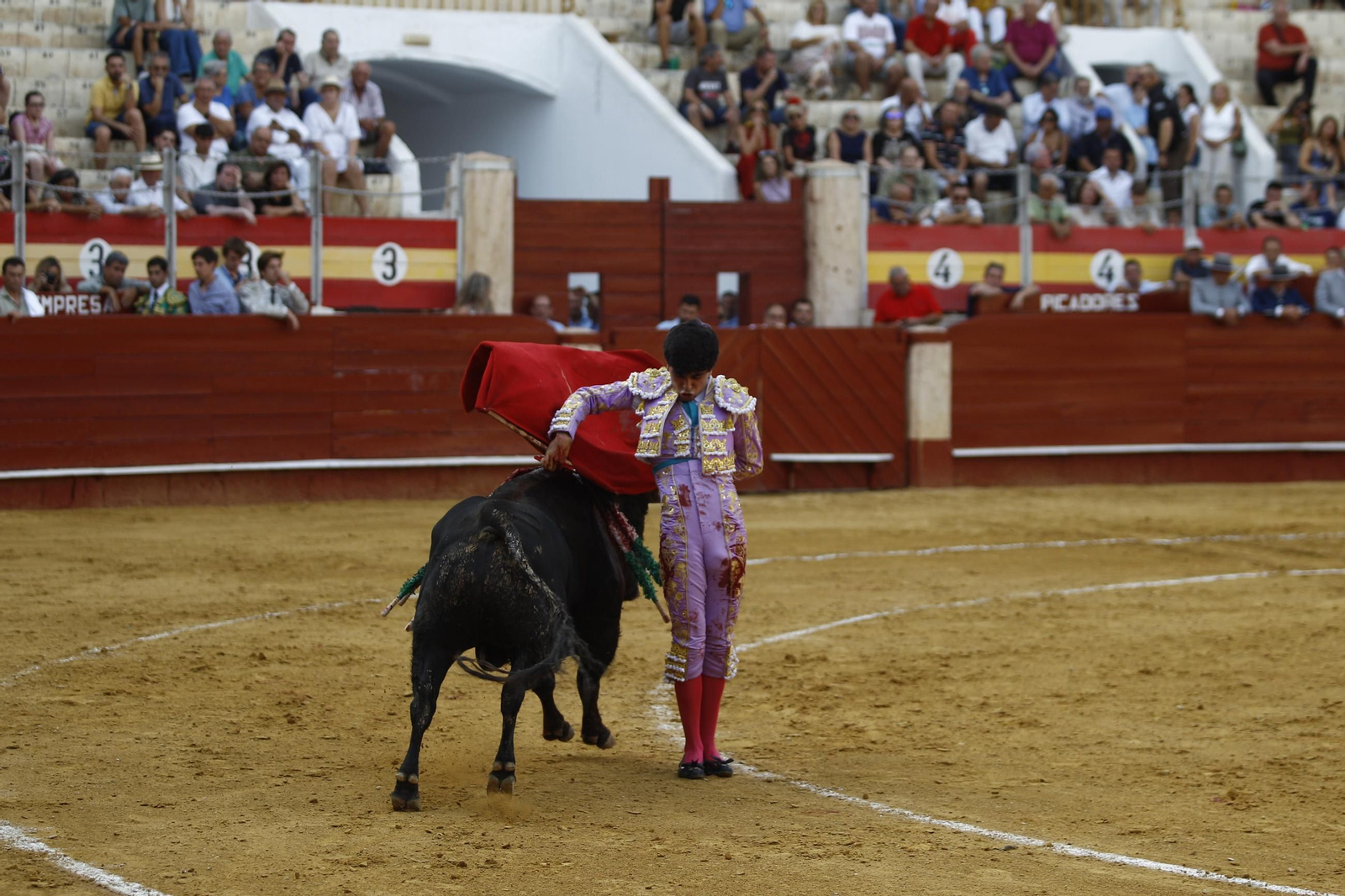 Imágenes de la novillada de la Feria de Almería 2025