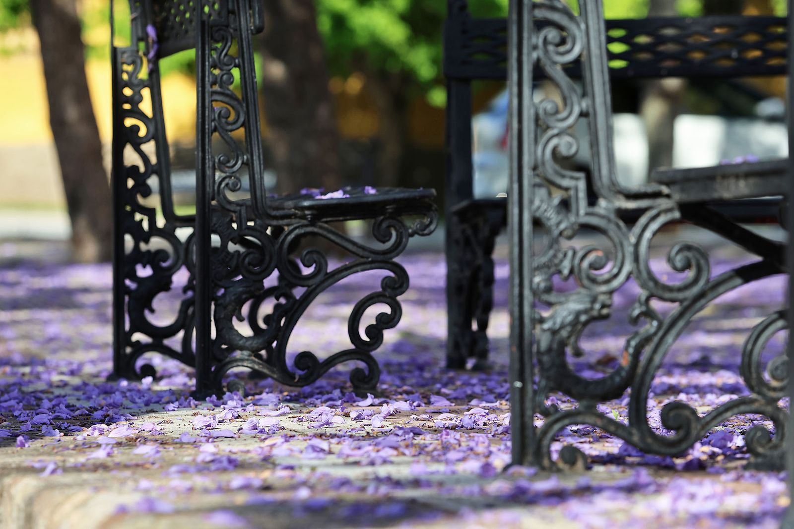 Las imágenes más destacadas del martes 21 de mayo en Huelva