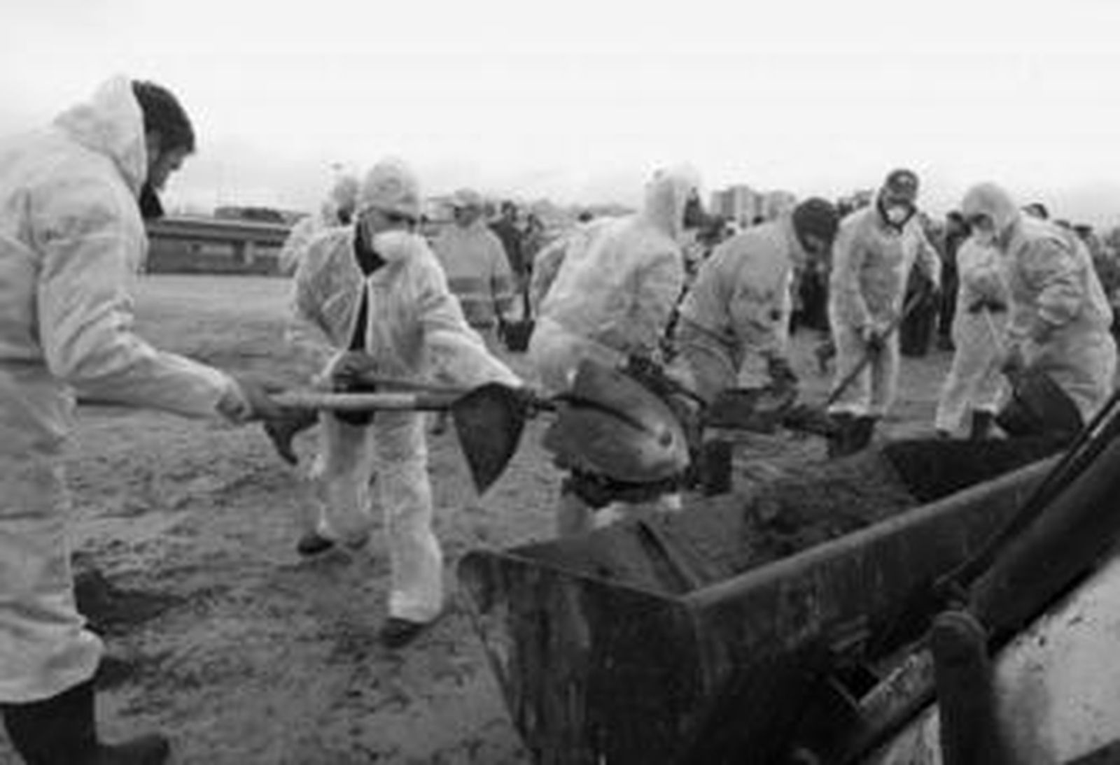 Operadores recogen restos de chapapote en La Concha.