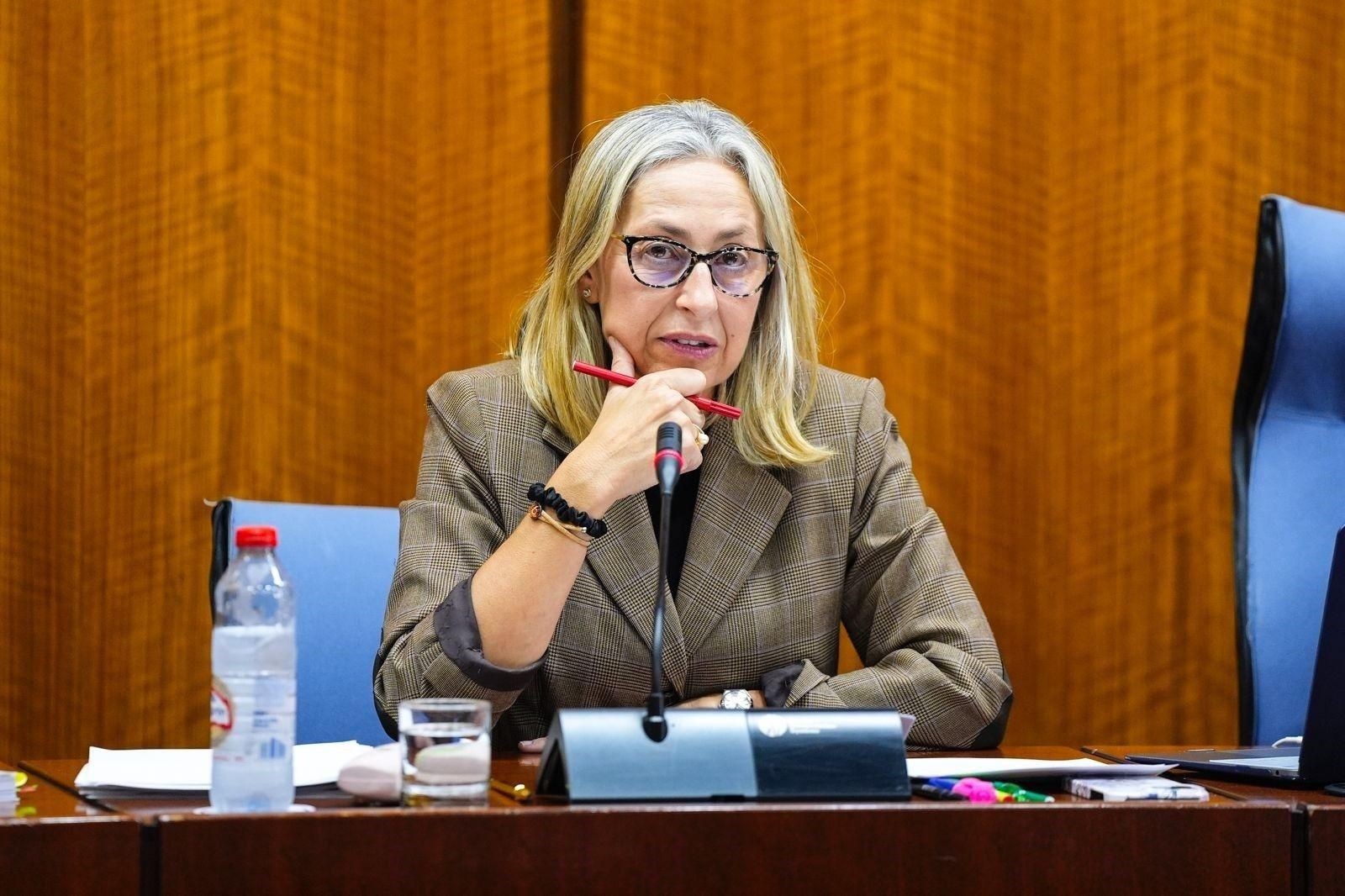 La consejera de Salud, Rocío Hernández, durante su comparecencia en el Parlamento de Andalucía.