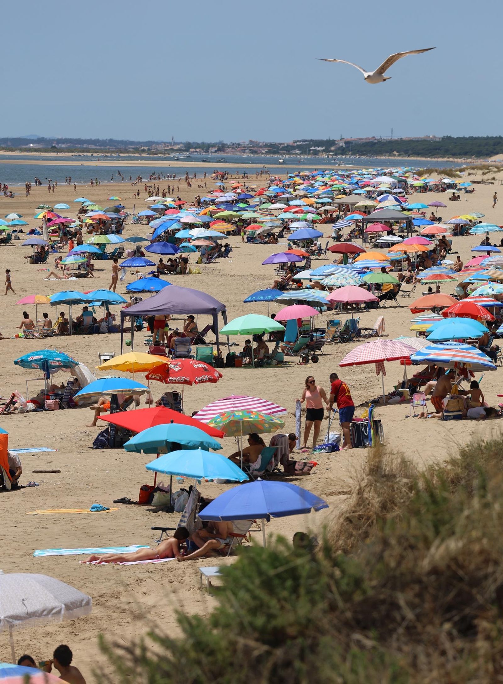 Imágenes del ambiente en las playas de Matalascañas, La Bota y Mazagón durante la mañana del domingo