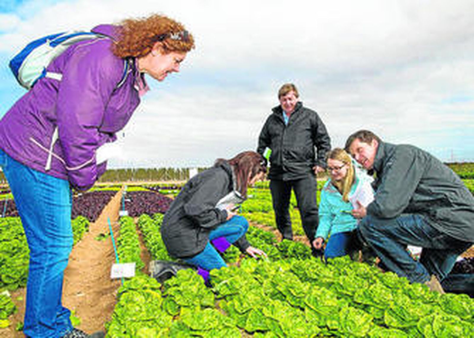 La Estación de Investigación La Marina que posee Rijk Zwaan en Cartagena acogió estas jornadas.