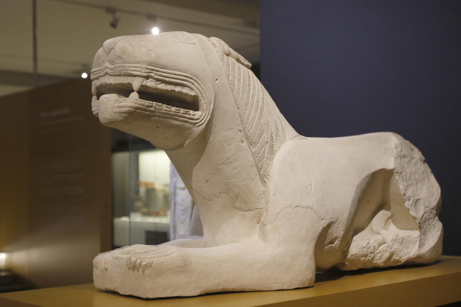 Leona de Nueva Carteya expuesta en el Museo Arqueológico de Córdoba. Las leonas íberas de Córdoba, en imágenes