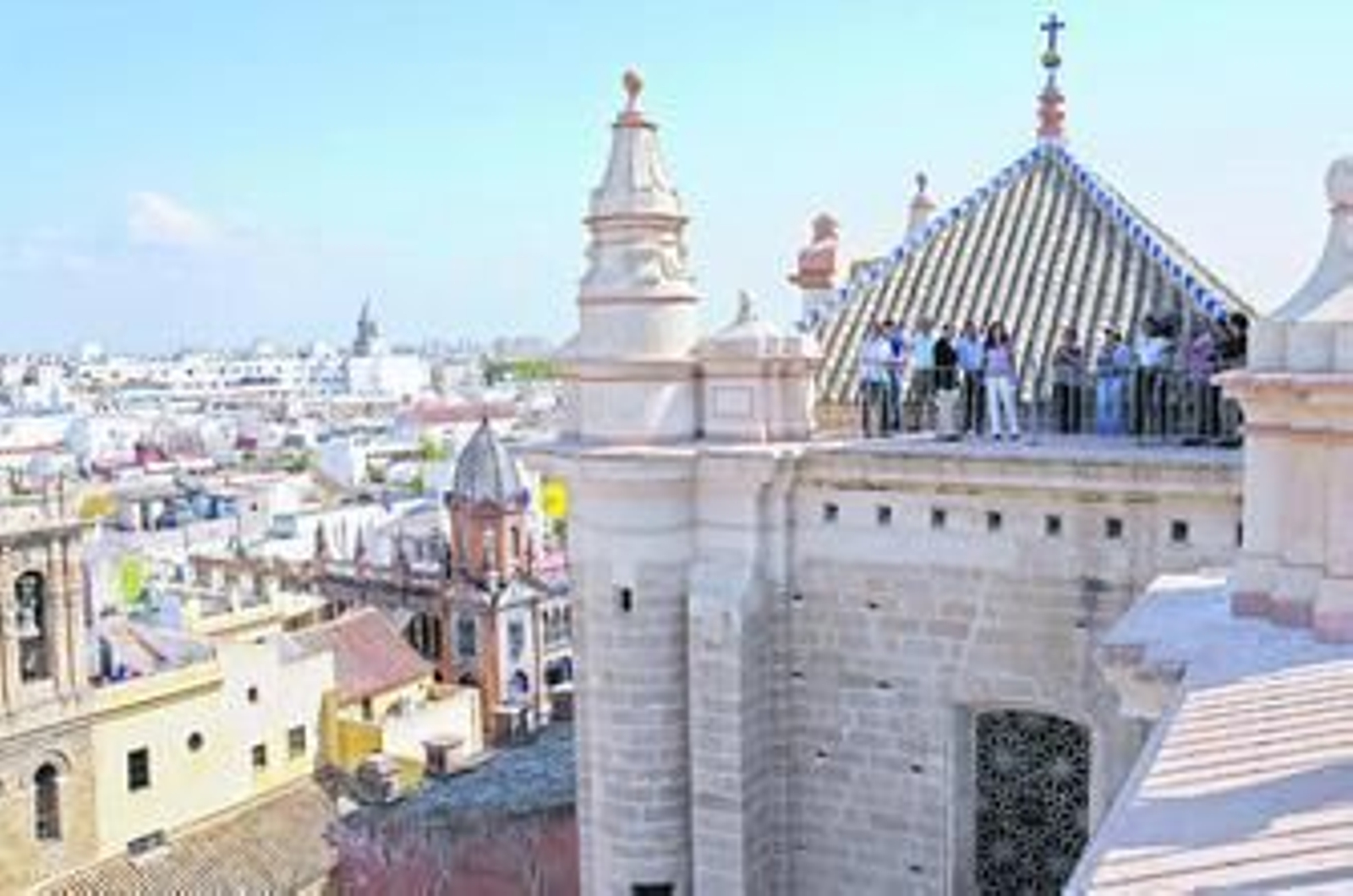La colaboración entre Medio Ambiente y los responsables de las obras del Salvador han permitido un repunte de los cernícalos.