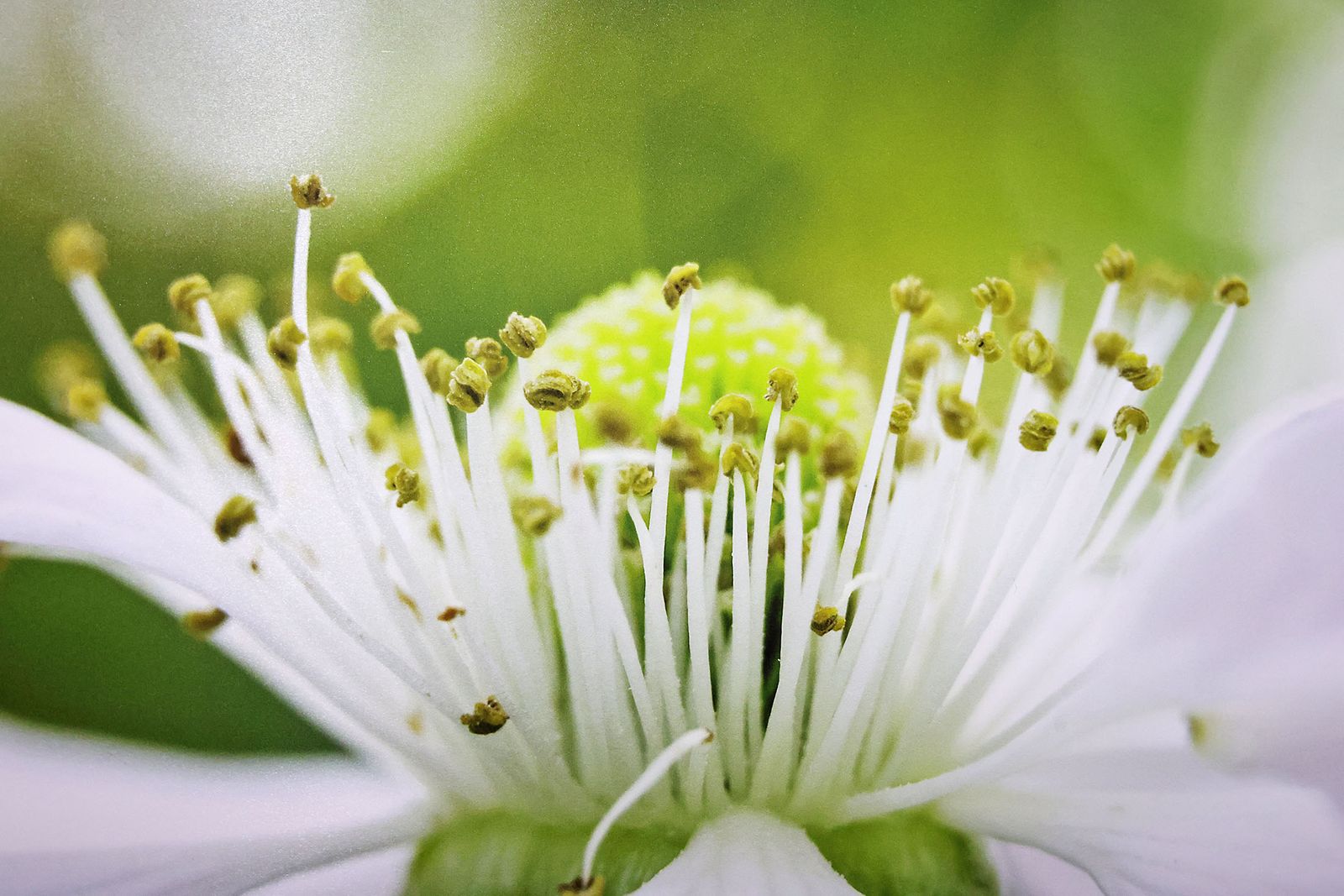 Exposición del I Rally Fotográfico de La Canastita