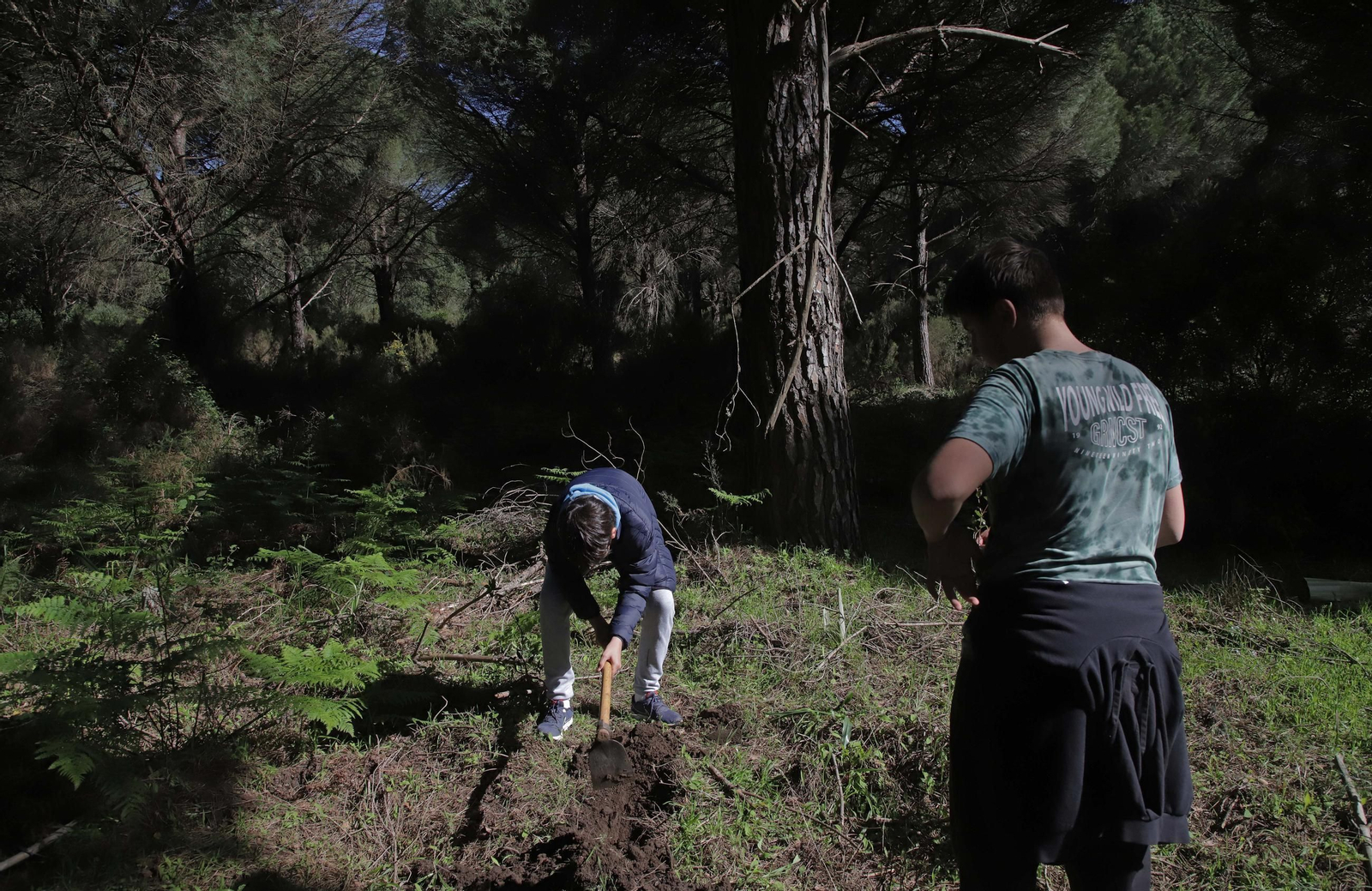 Fotografías de la plantación del programa 'Reverdece' de Acerinox Fotografías de la plantación del programa 'Reverdece' de Acerinox