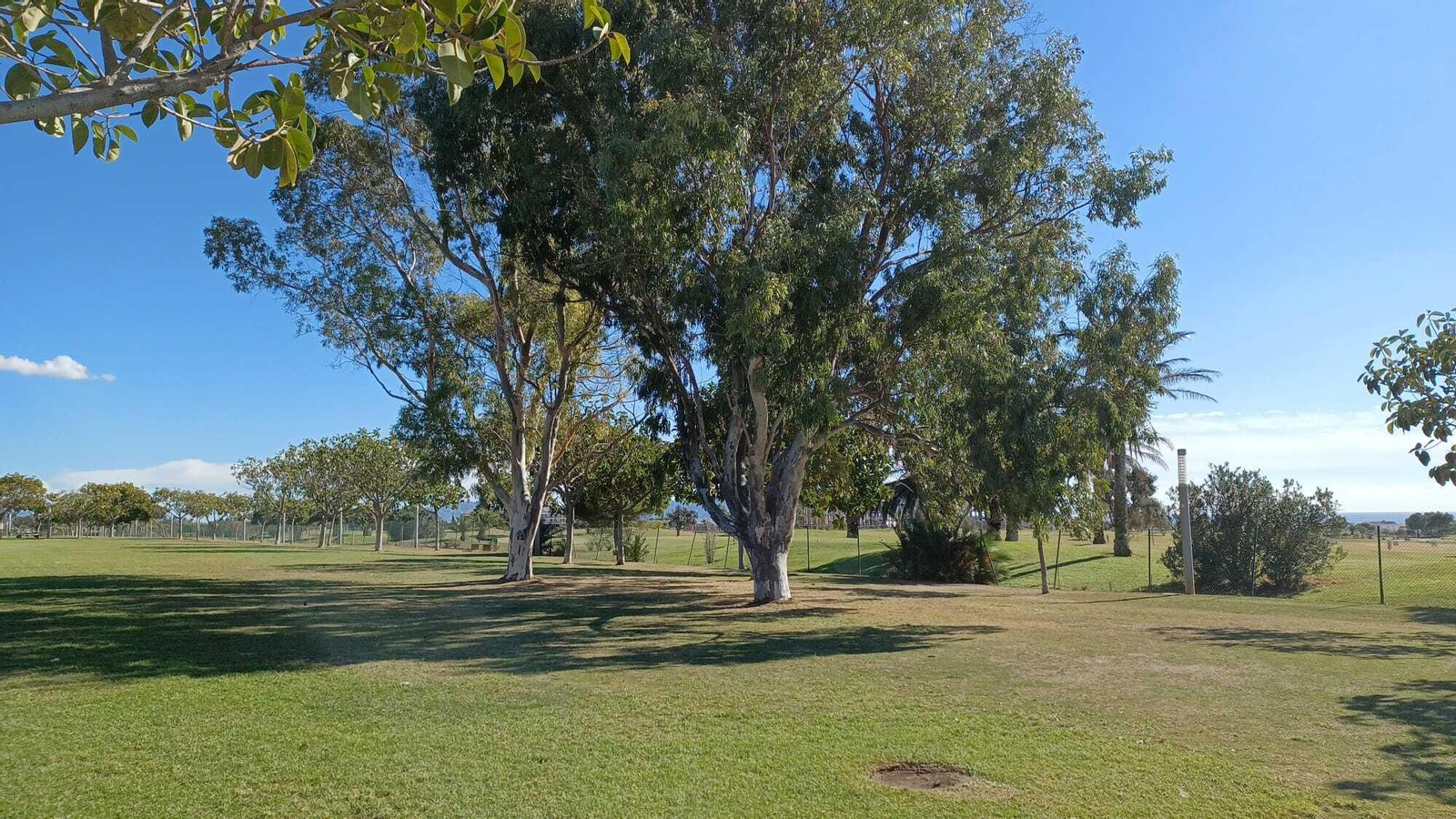 Espacio elegido para crear una zona de calistenia, junto al campo de golf