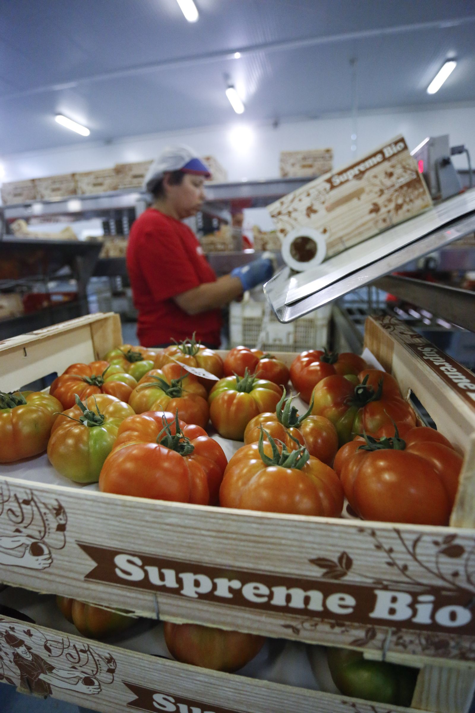 Empleada de Frunet en una línea de tratamiento de productos ecológicos.
