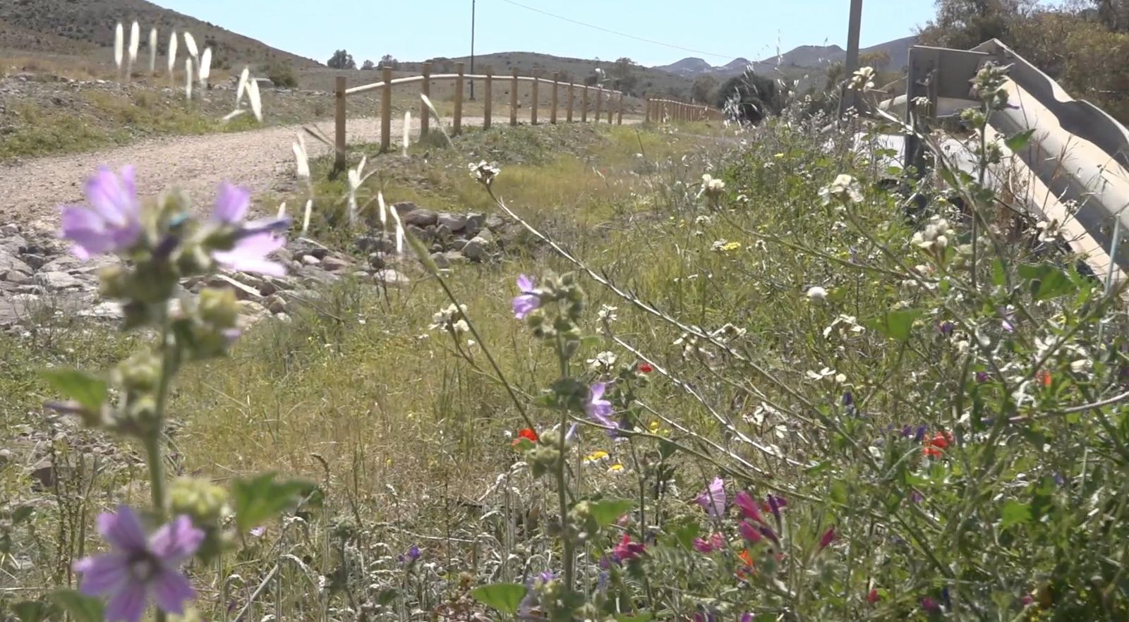 Sendero azul entre San José y el Pozo de los Frailes.