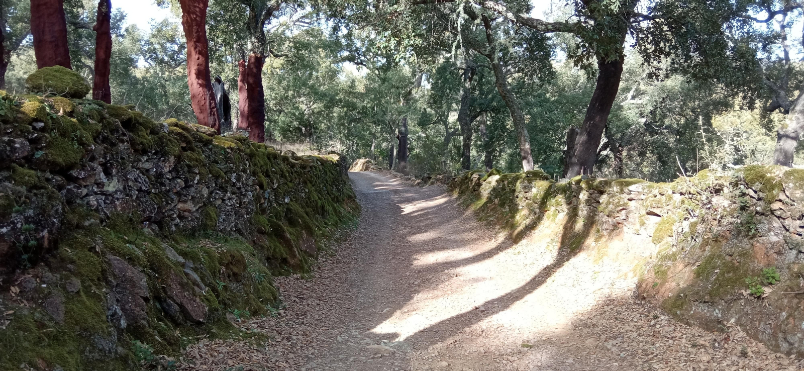 Las imágenes de la ruta de la Dehesa de Valdelama: De Los Marines a Fuenteheridos y vuelta