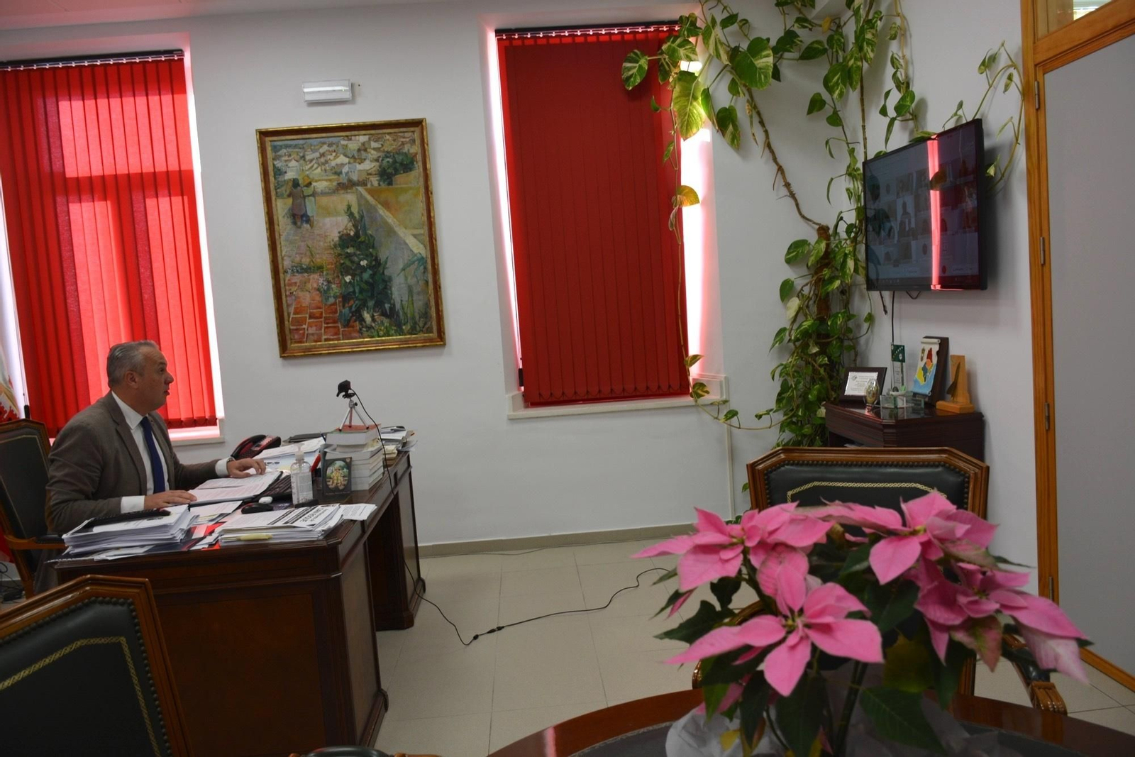 Ruiz Boix, en su despacho durante el Pleno celebrado de forma telemática.