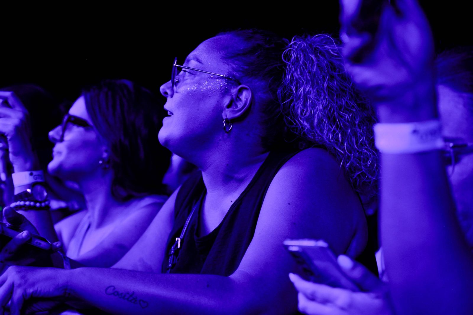 El concierto de David Bisbal, en imágenes