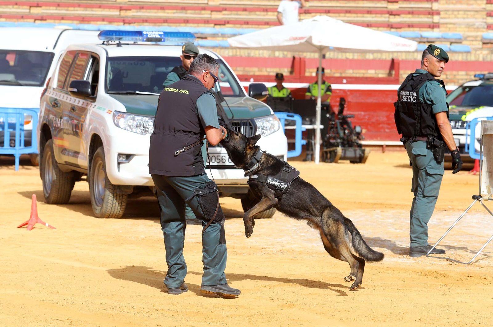 Imágenes de la Jornada de Puertas Abiertas de la Guardia Civil