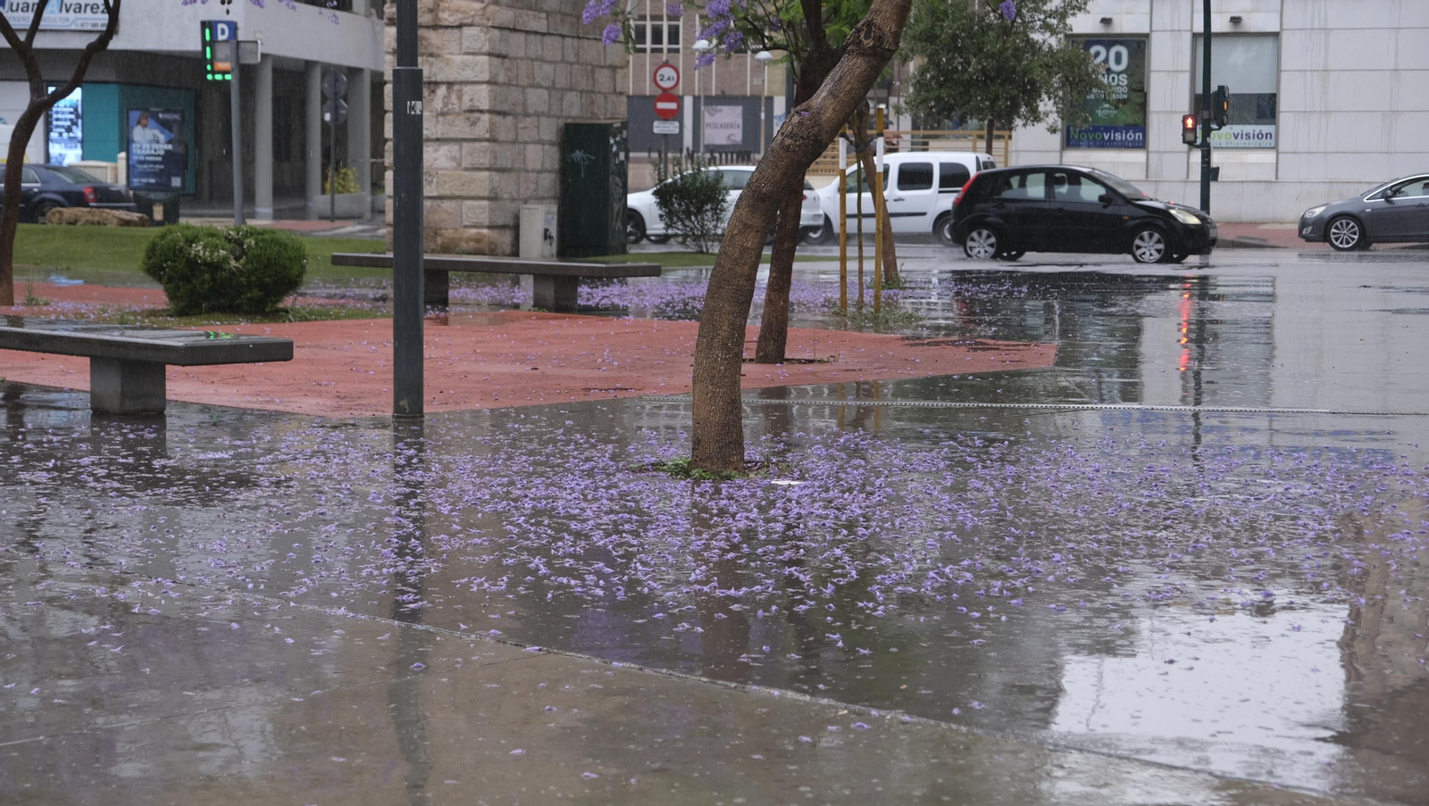 Los almerienses expresan su alegría por la lluvia