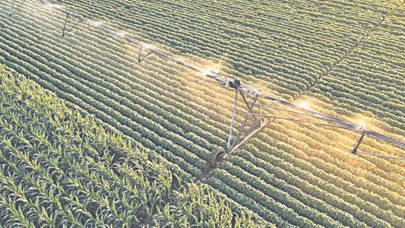 Sistemas de riego para la agricultura