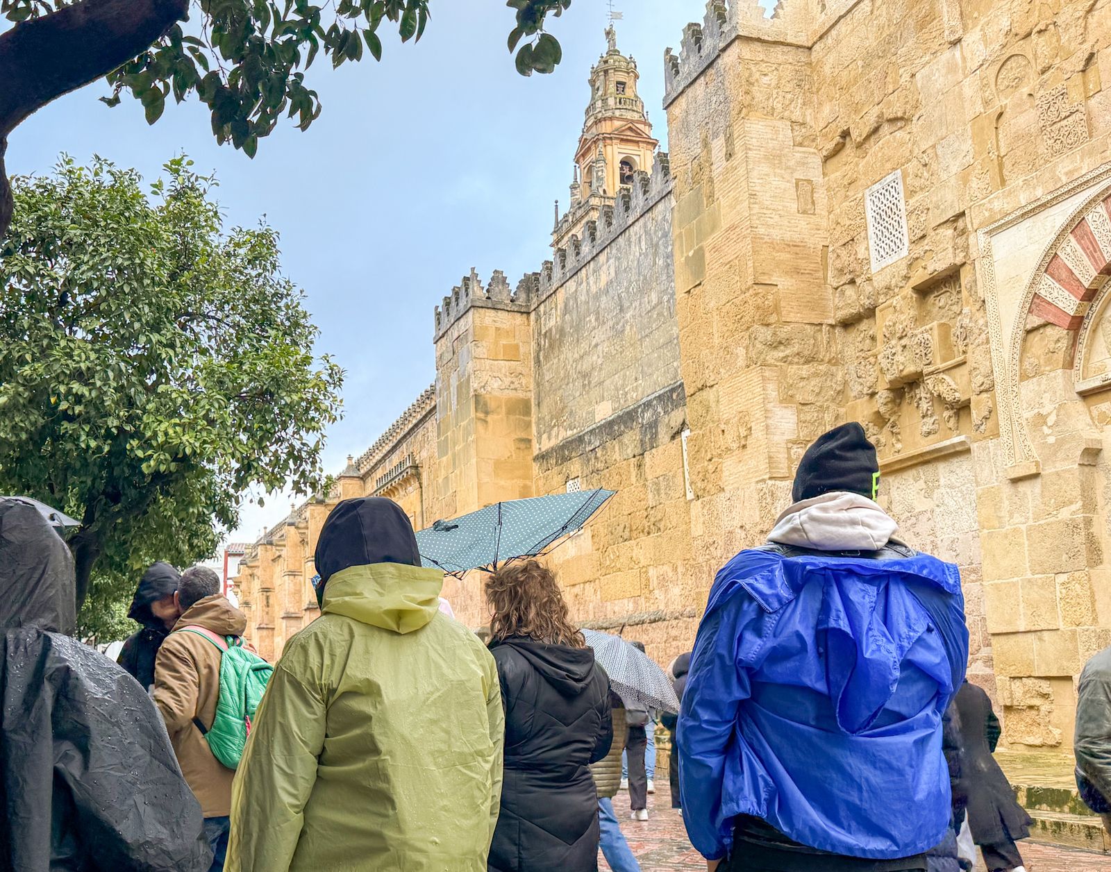 Las fuertes rachas de viento y la lluvia dejan las calles de Córdoba vacías