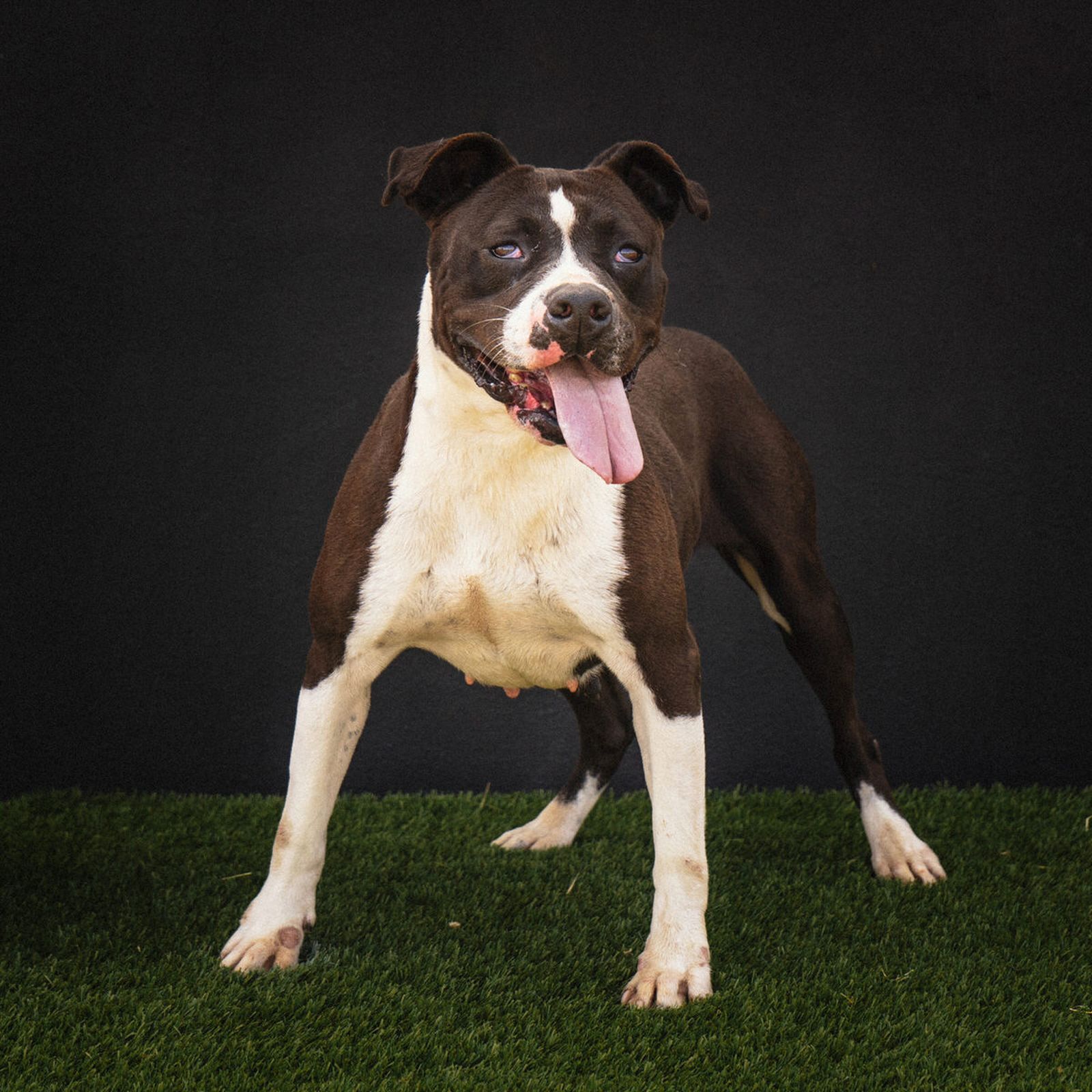 Luna necesita una segunda oportunidad