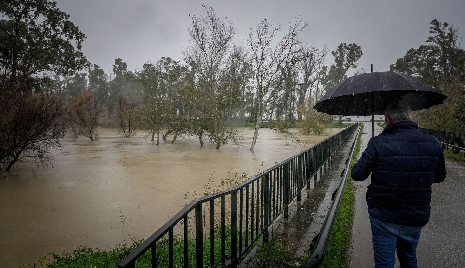 Imágenes de los efectos del temporal Kristin a su paso por Jerez