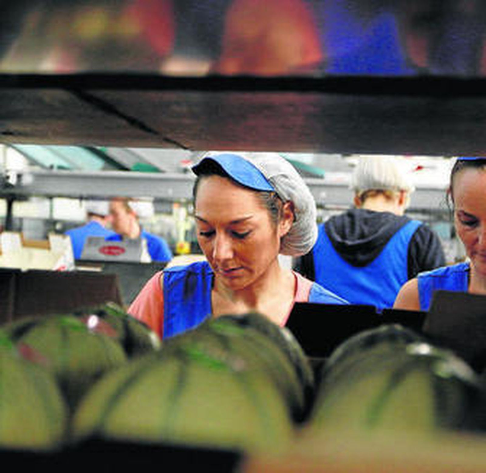 El Gobierno achaca el aumento de paro al fin temprano de la campaña.