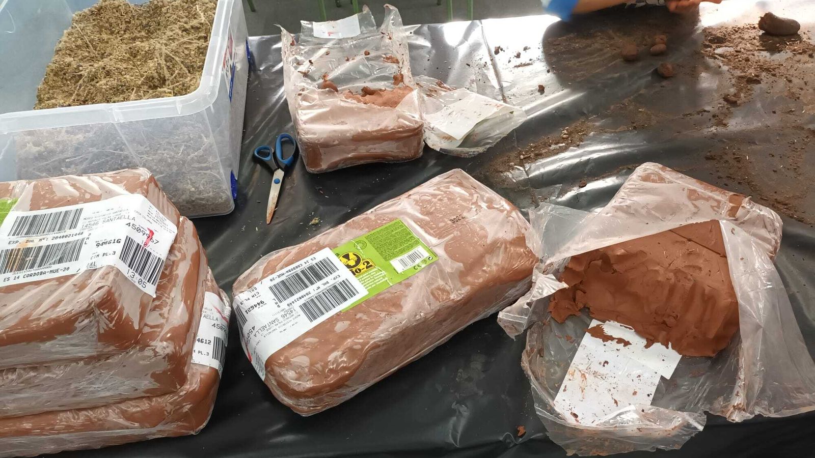 Reforestación en Córdoba del Movimiento Smart Green de LG