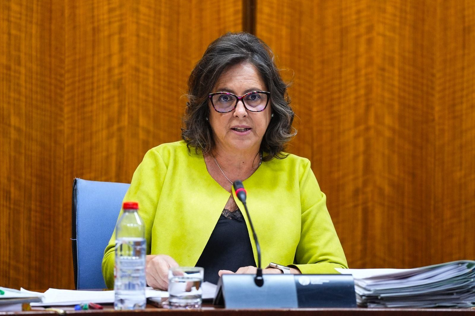 La consejera Catalina García durante su intervención en la Comisión de Salud.