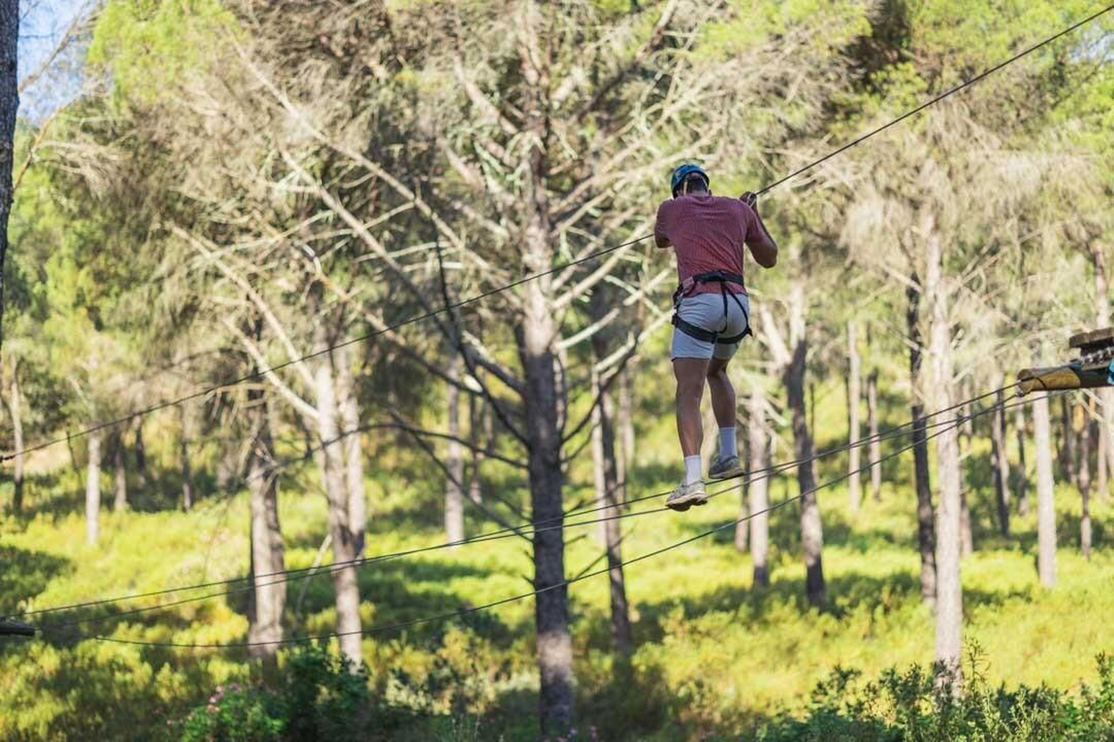 Un parque por todo lo alto: así es el circuido de bosque suspendido de Huelva