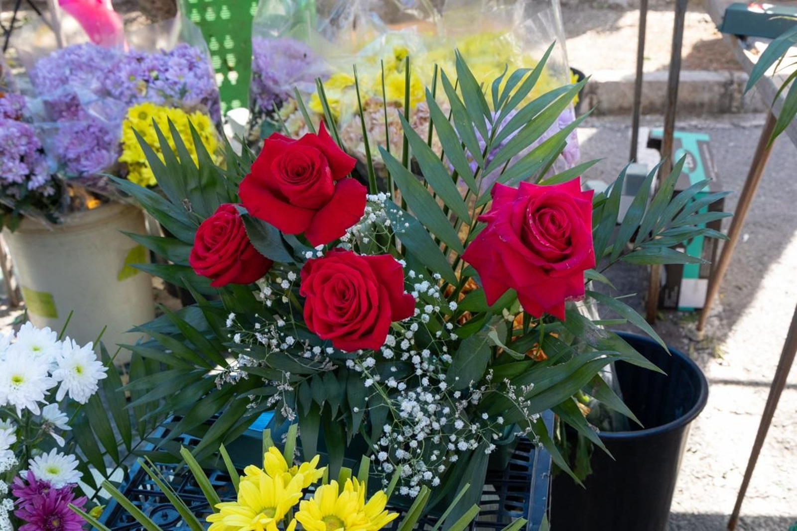 Día de Los Santos en el cementerio de San Fernando y San Eufrasio de Jaén, en imágenes