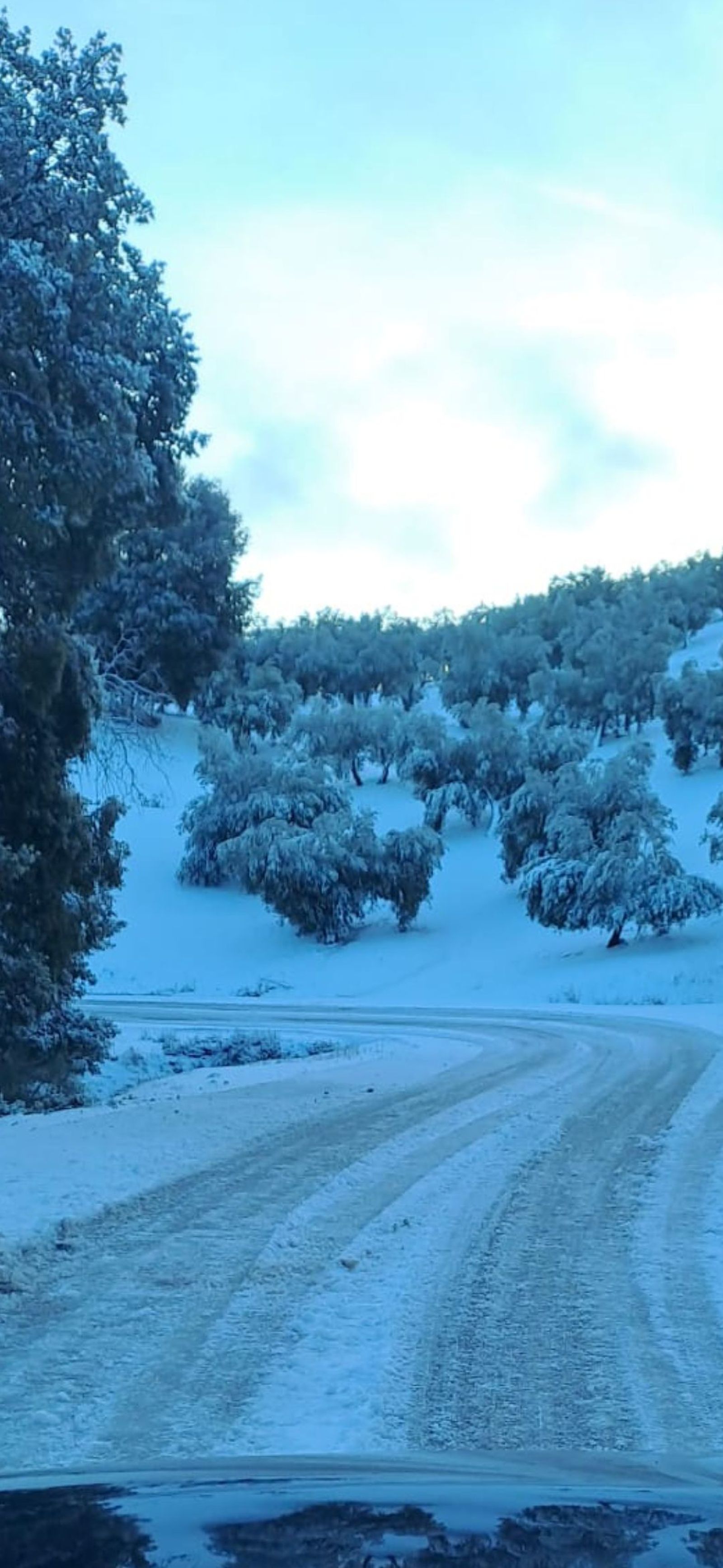 621824403_1366518878835146_6203399212306247433_n