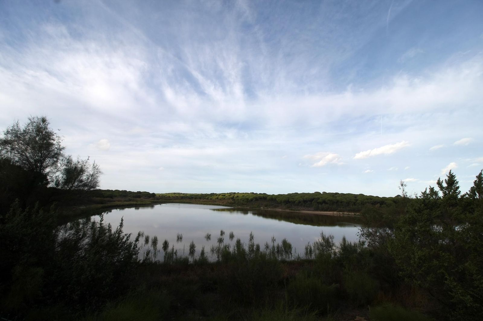 Imágenes de la marisma de El Rocío y de la laguna de El Portil tras las últimas lluvias