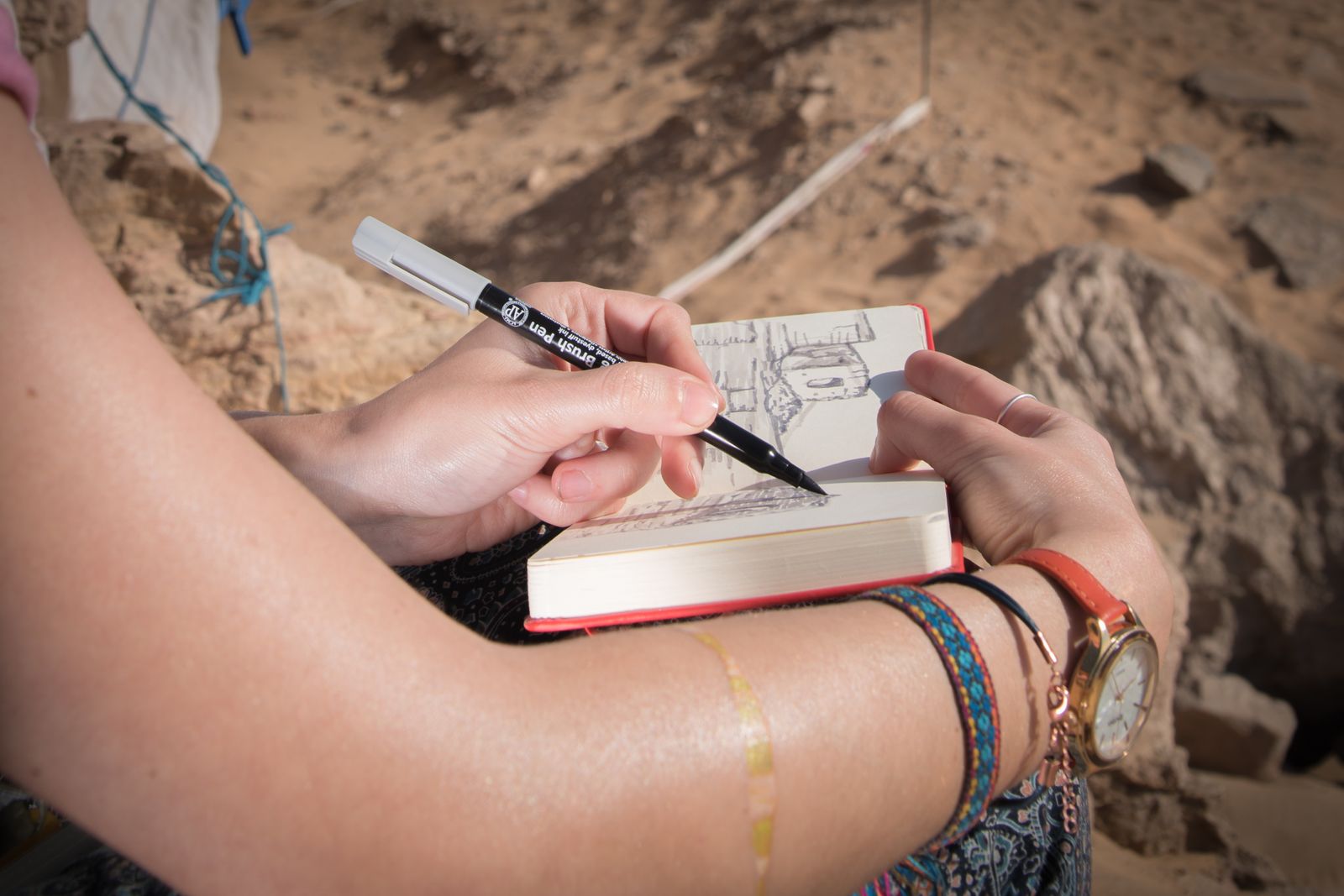 La novena campaña del Proyecto Qubbet El-Hawa, en imágenes