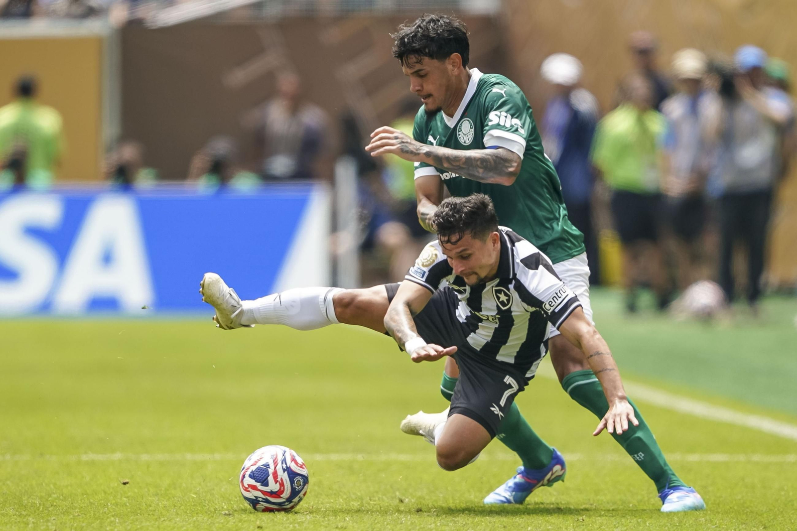 Palmeiras-Botafogo (10).jpg