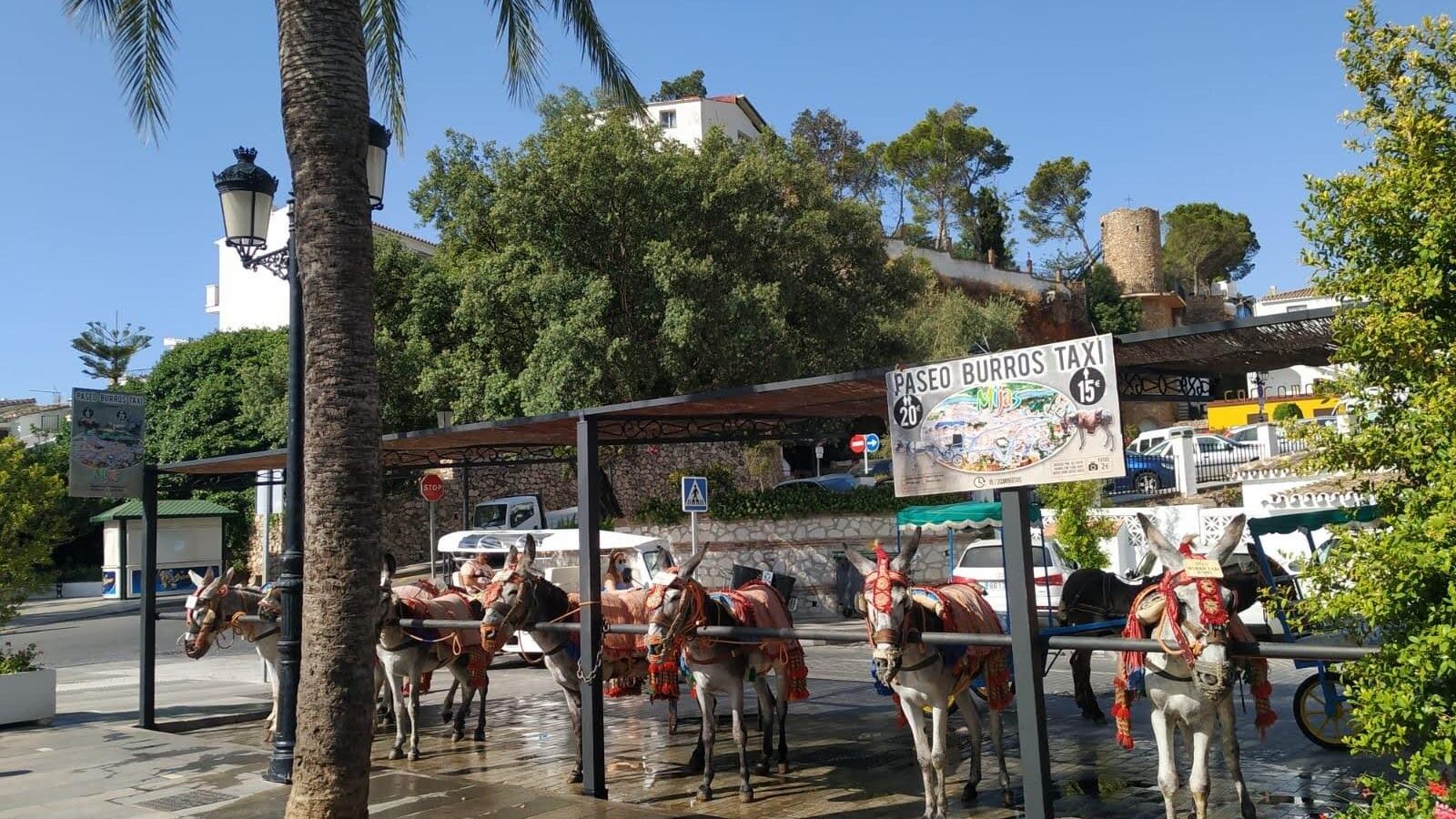 Los burros taxi siguen siendo parte del encanto de Mijas.