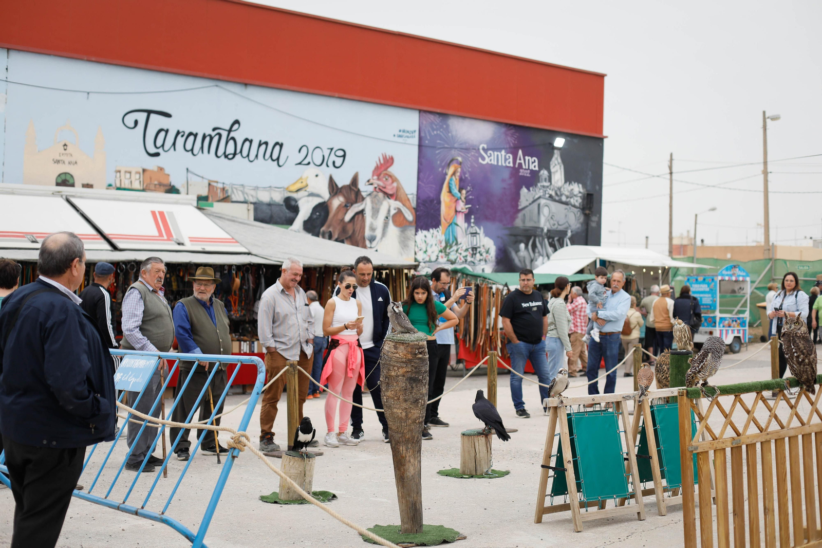 Galería de la Feria  de ganado en Tarambana