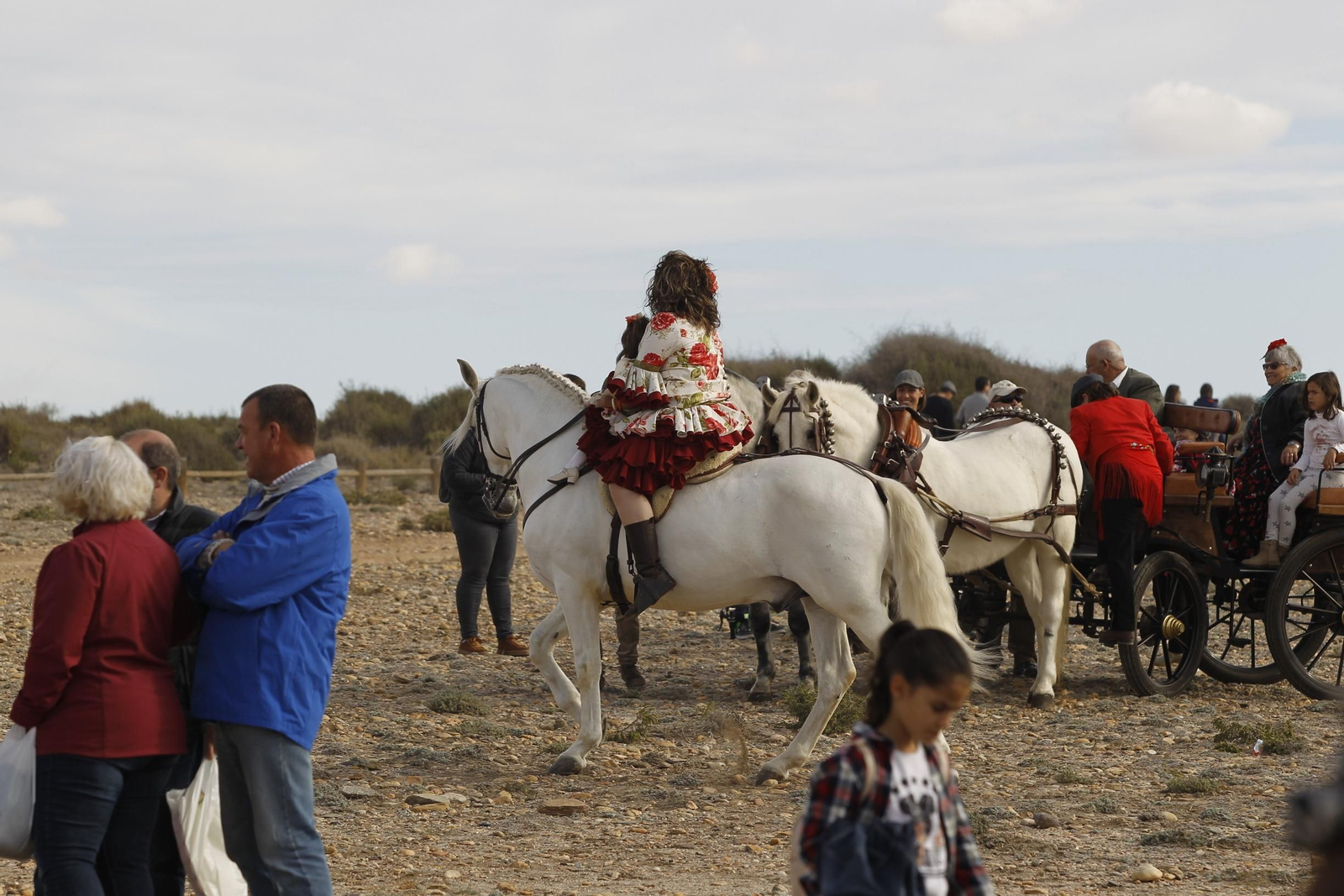Las imágenes de la Romería de Torregarcía