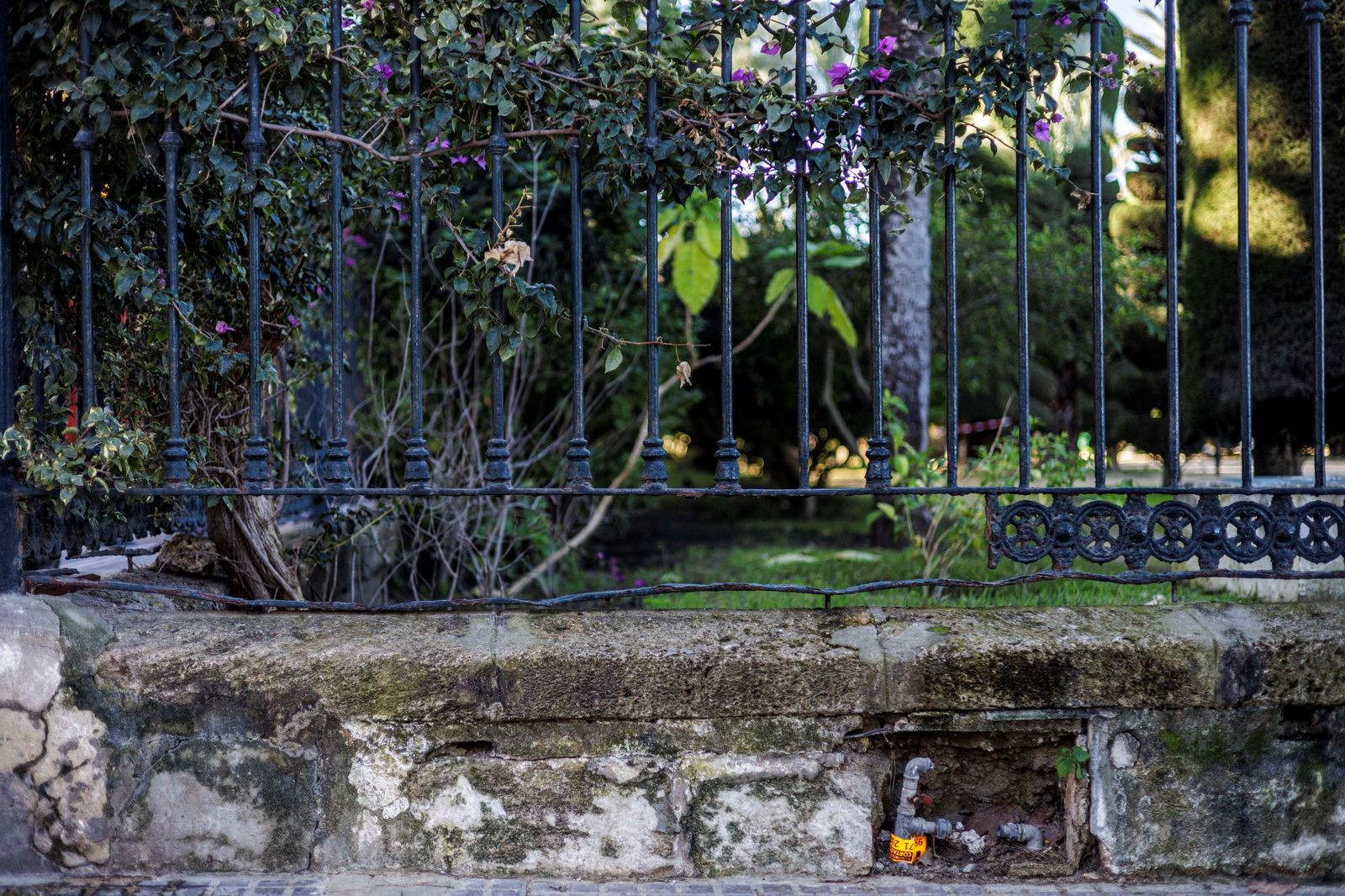Imágenes del mal estado del Parque Genovés de Cádiz