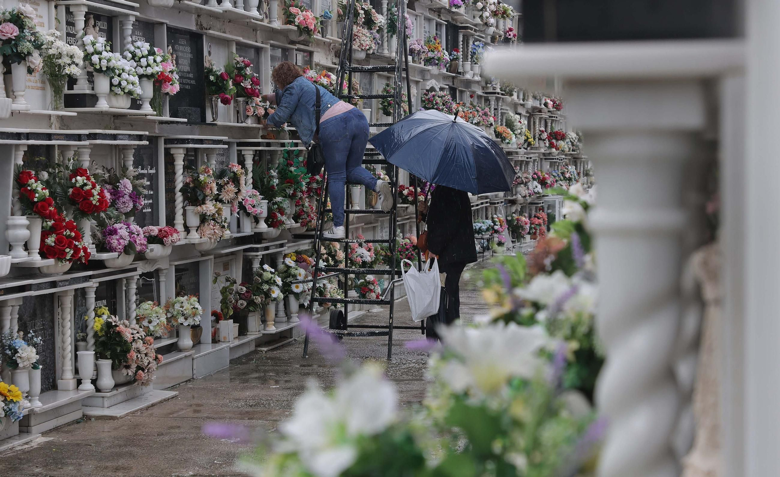Fotos de los preparativos para Tosantos en el cementerio de Algeciras
