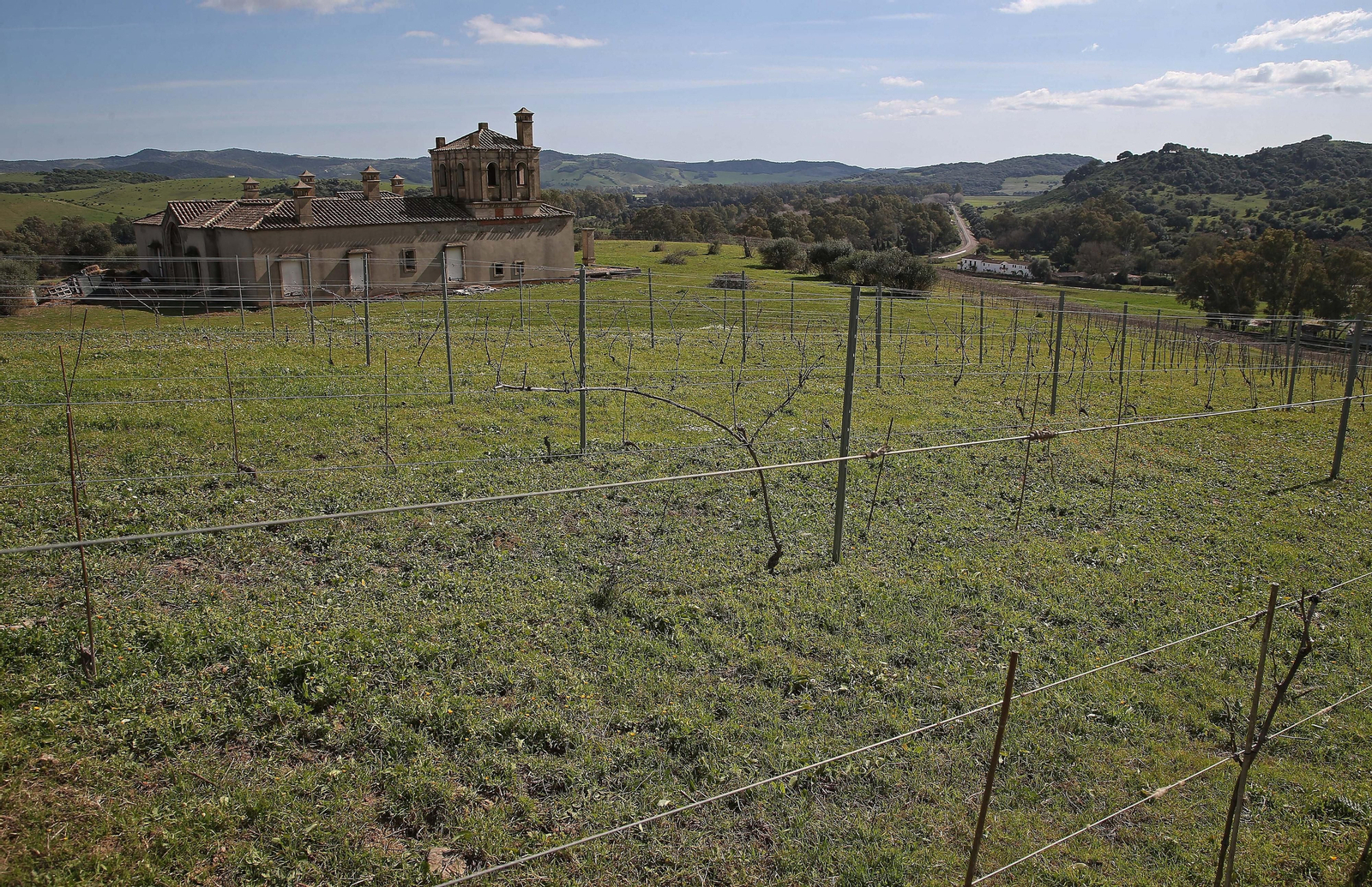 Fotos del lugar donde se produce Ribera de Hozgarganta, el primer vino del Campo de Gibraltar