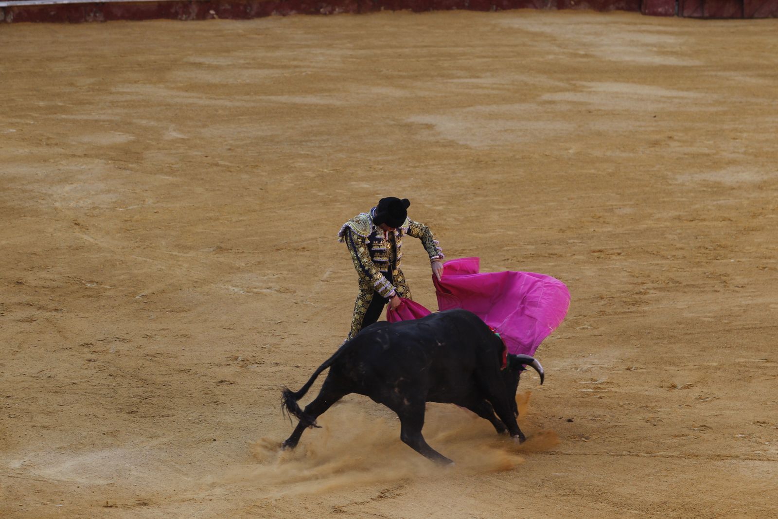 Fotogalería novillada Escuela Taurina de Almería. Feria de Almería 2019