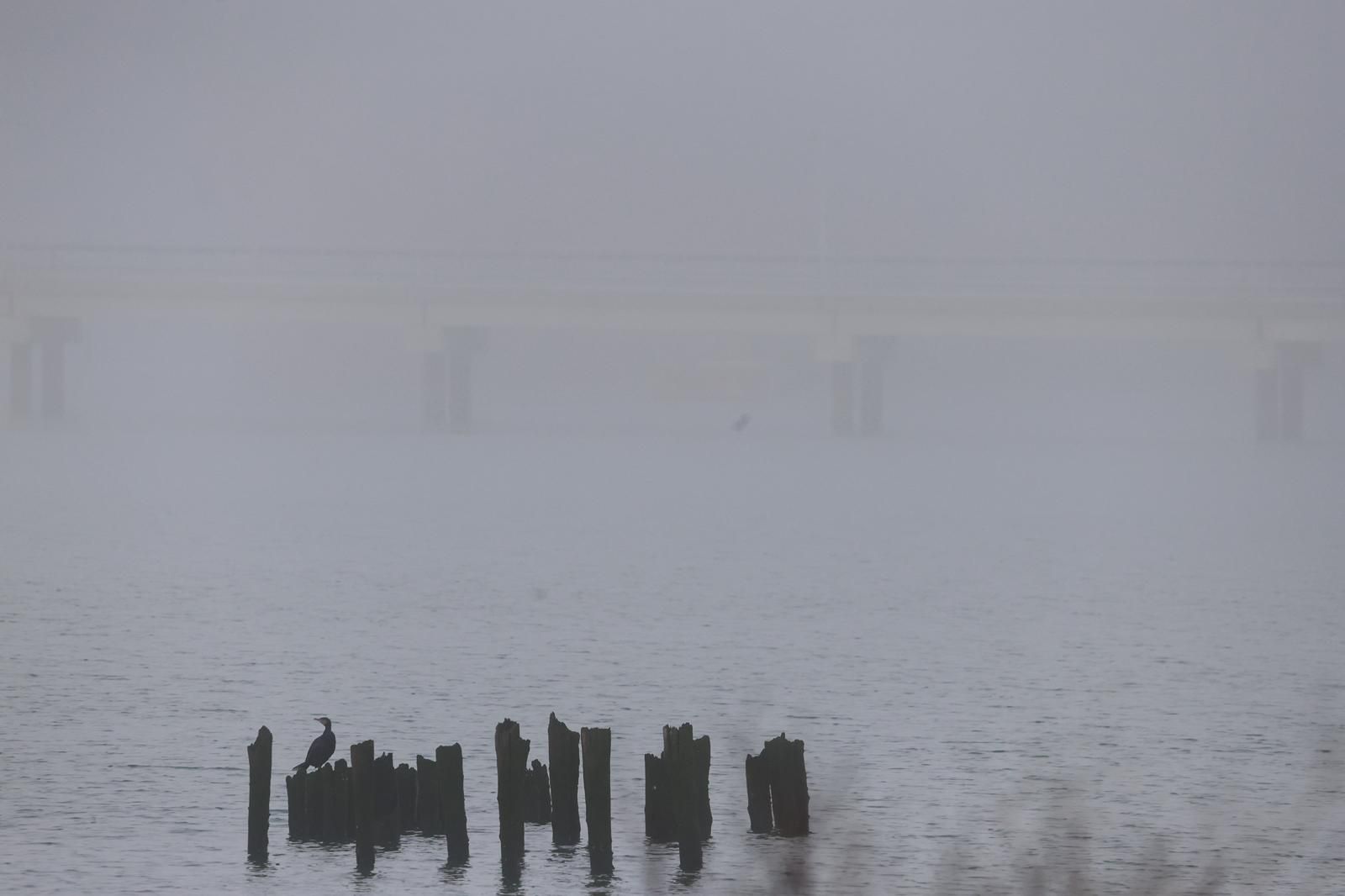 WhatsApp Image 2026-01-14 at 10.33.23 (1)