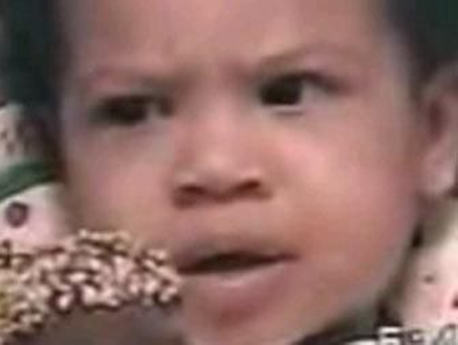 2008, un año 'viral'