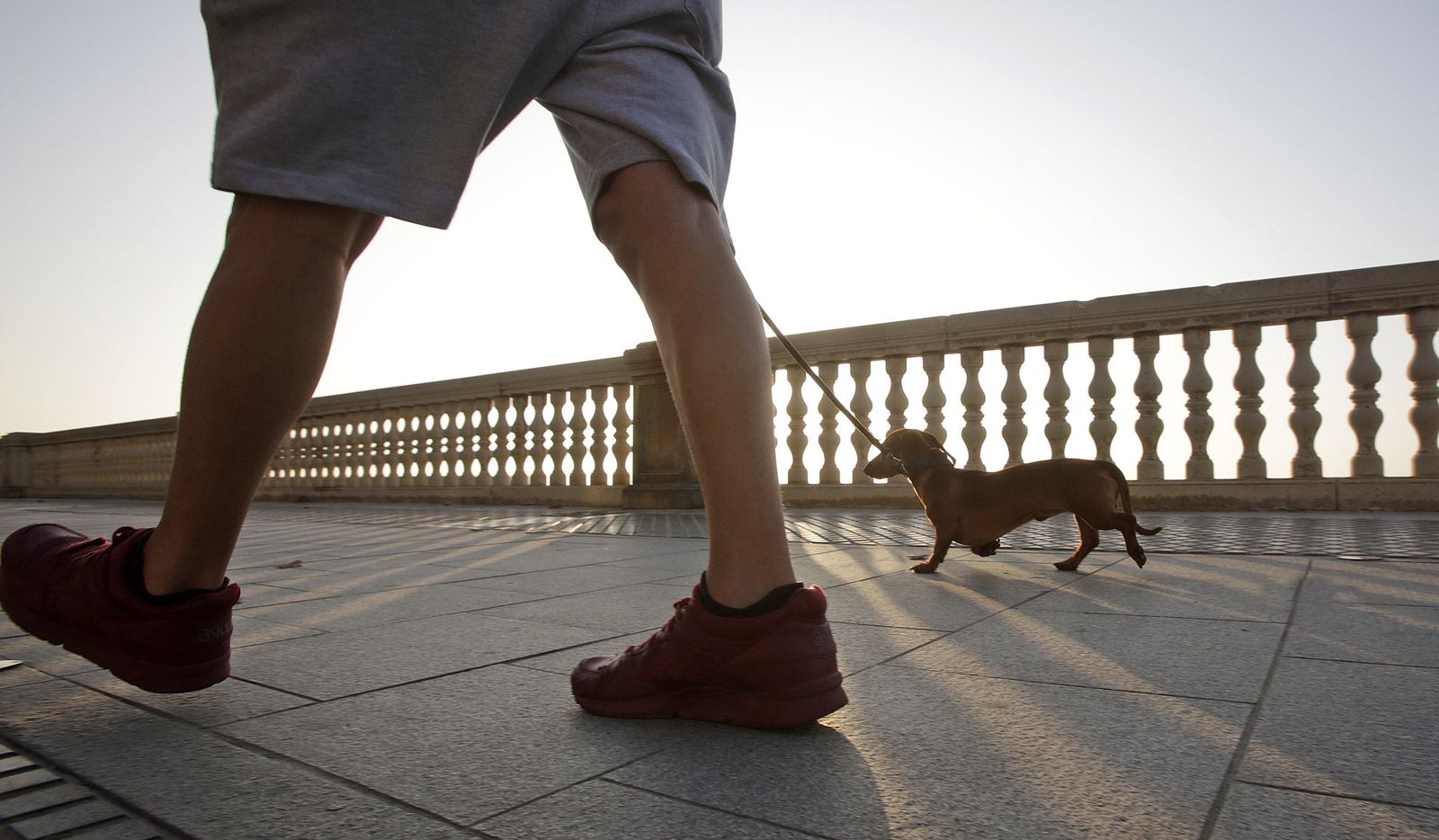 Un hombre paseando a su mascota por Cádiz