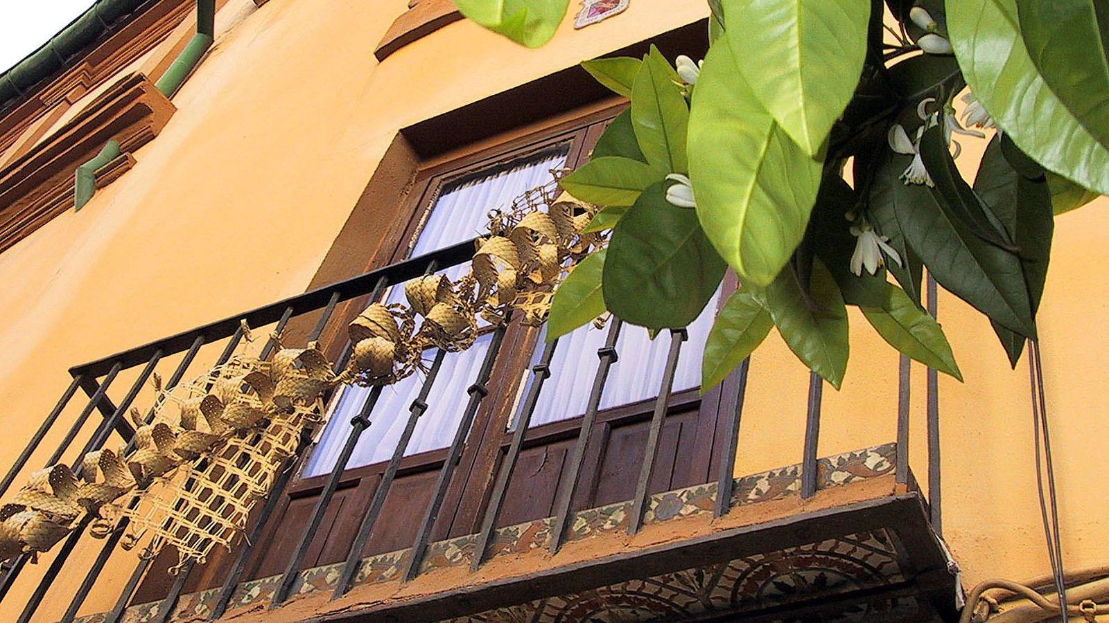 La palma rizada en un balcón y el azahar, símbolos de la Semana Santa de Sevilla.