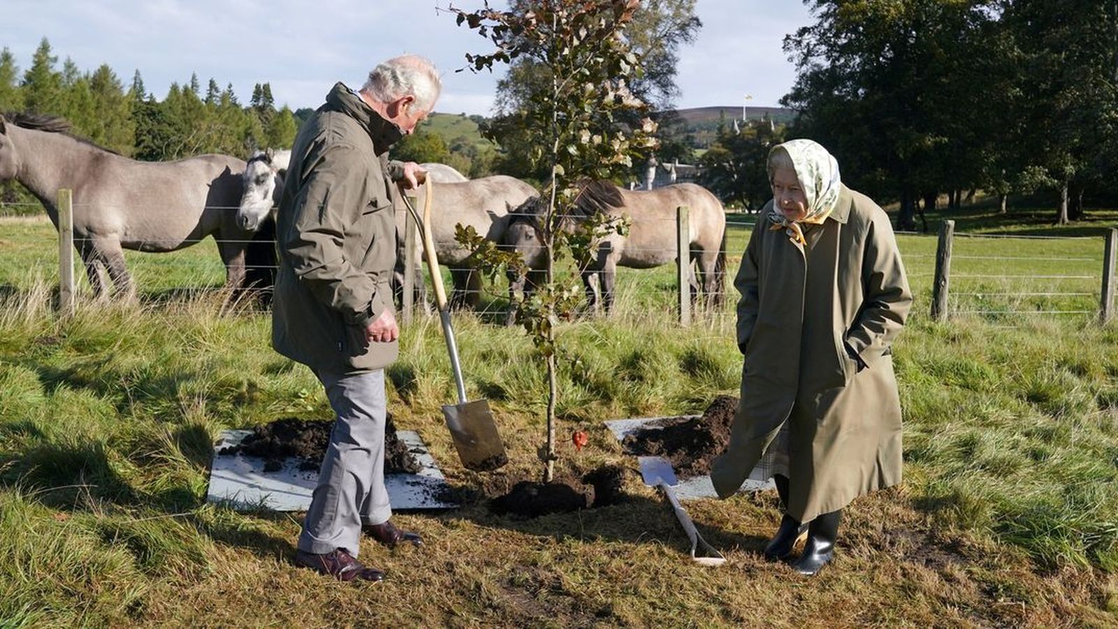 El príncipe Carlos e Isabel II, trabajando con plantas en el campo.