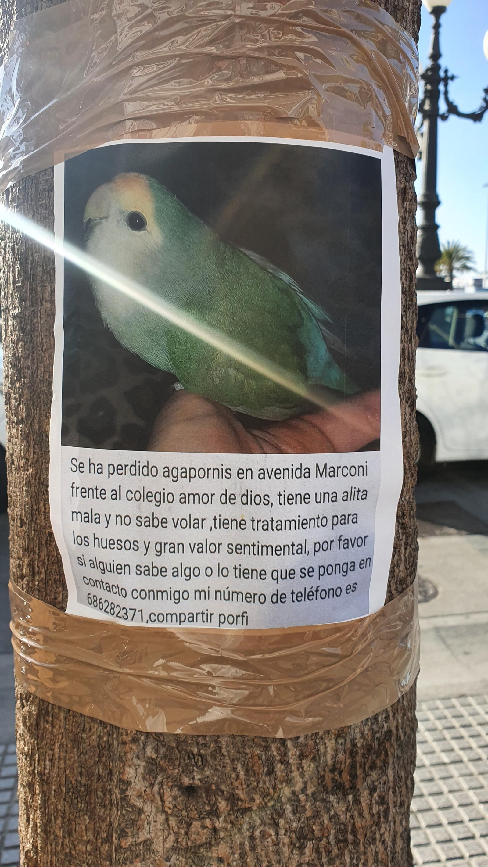 El cartel de ayuda se ha repartido por distintos puntos de la ciudad