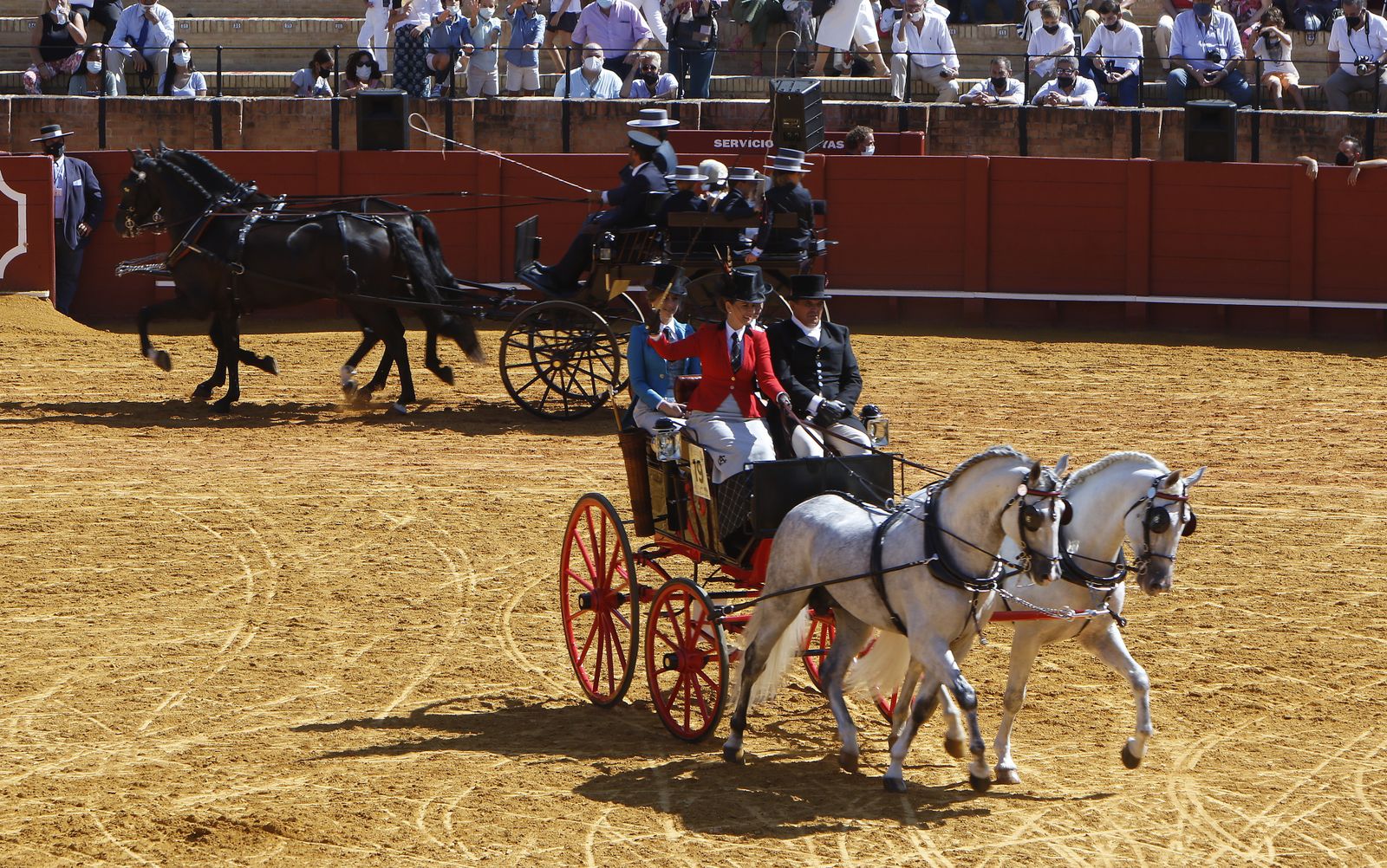 Exhibición de Enganches