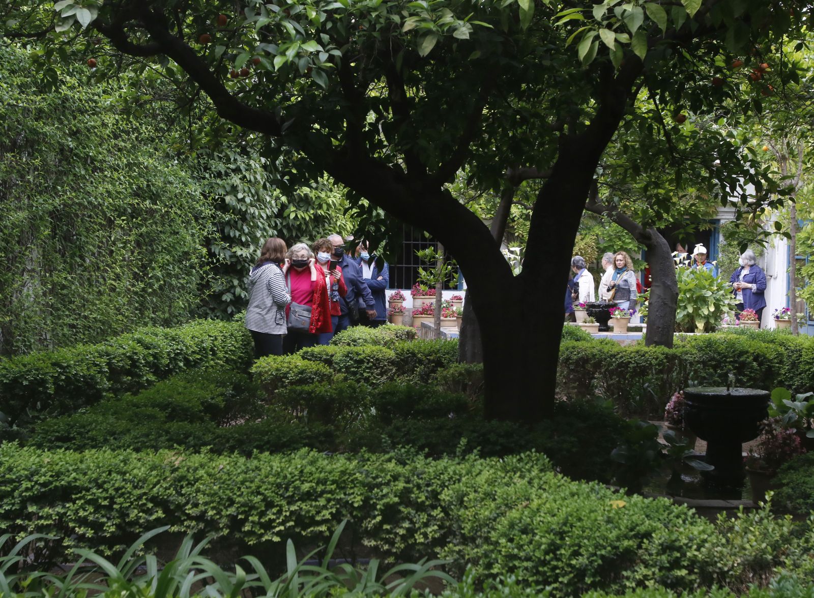 La jornada de puertas abiertas del Palacio de Viana, en imágenes