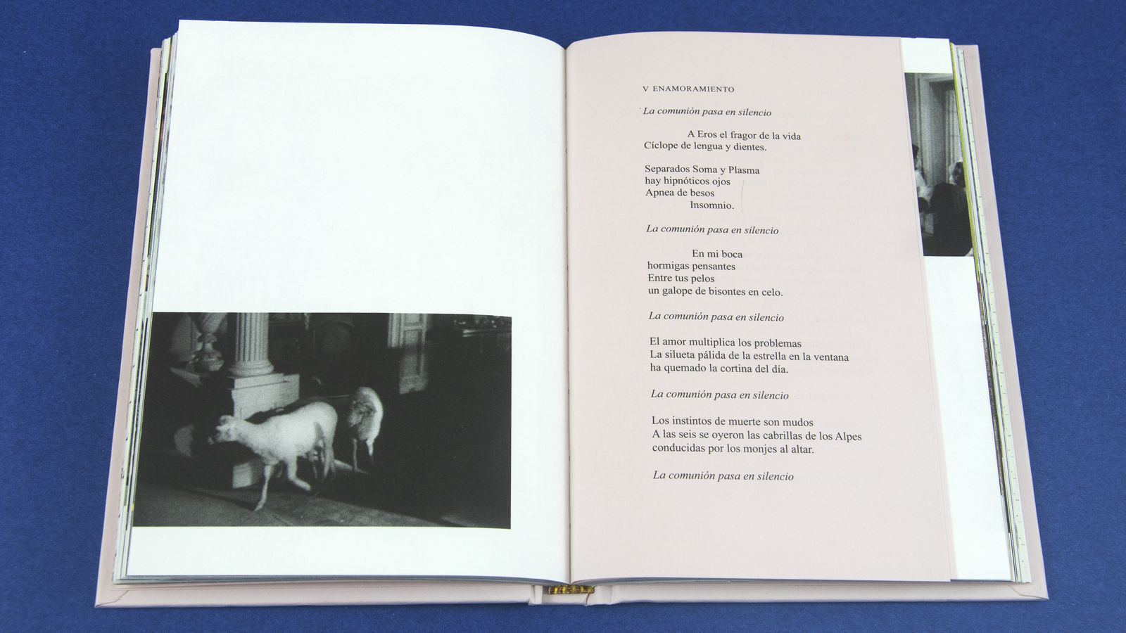 Carmen Ayala  participa en la  exposición con escogidos extractos de su última obra, 'La Perra Andalouse'.