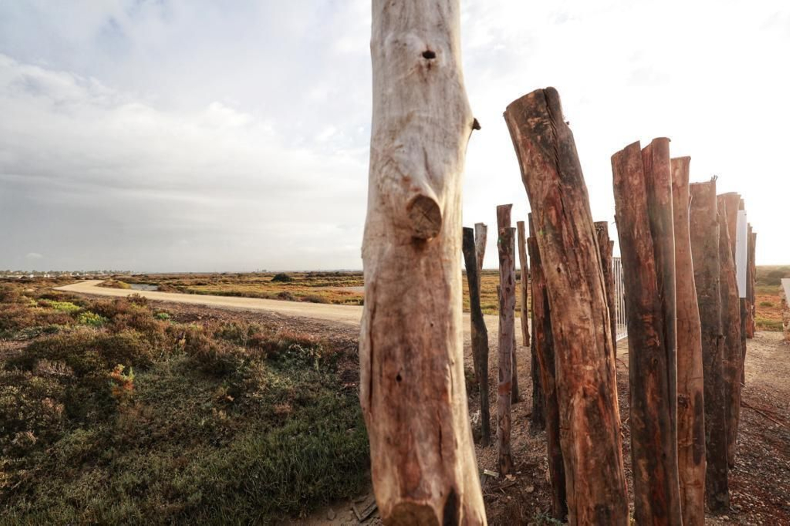 Inauguración del nuevo sendero entre San Fernando y Chiclana