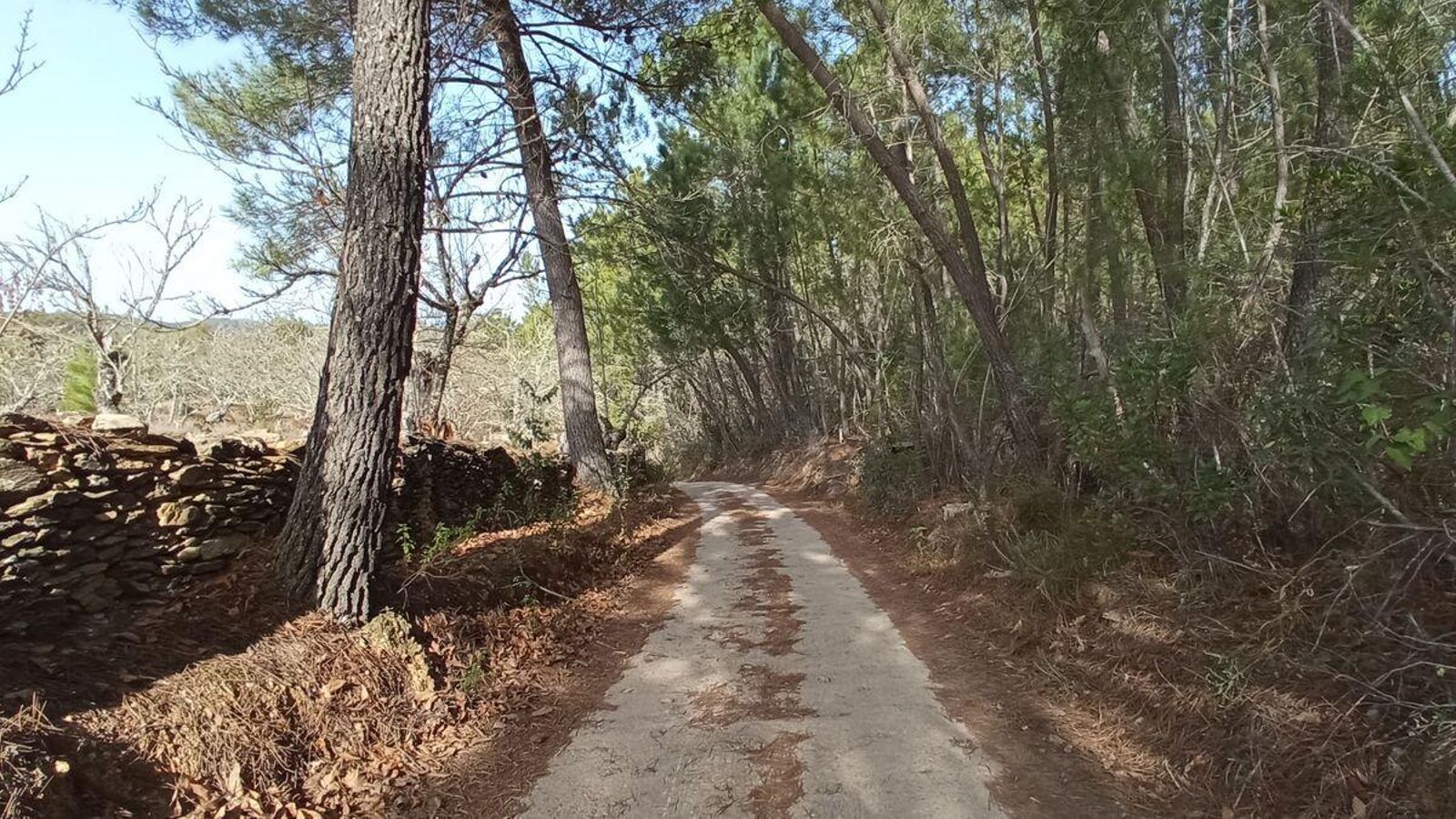 Un momento del camino de vuelta a Los Marines