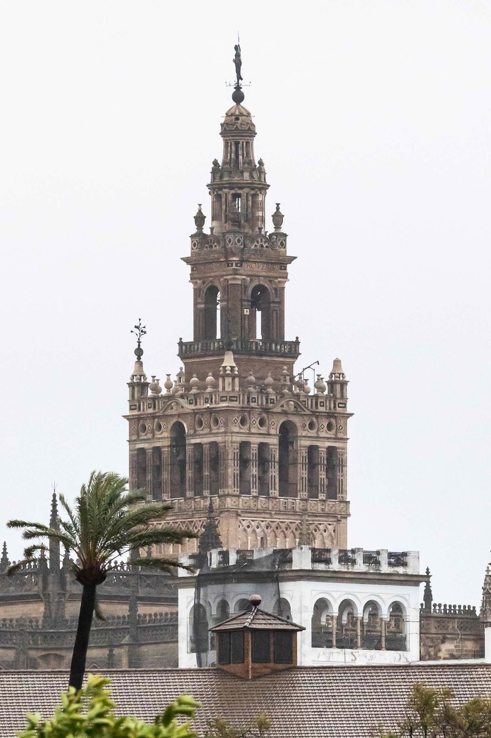 Detalle de la Giralda en la que se ve la ausencia de la azucena que se ha desprendido.